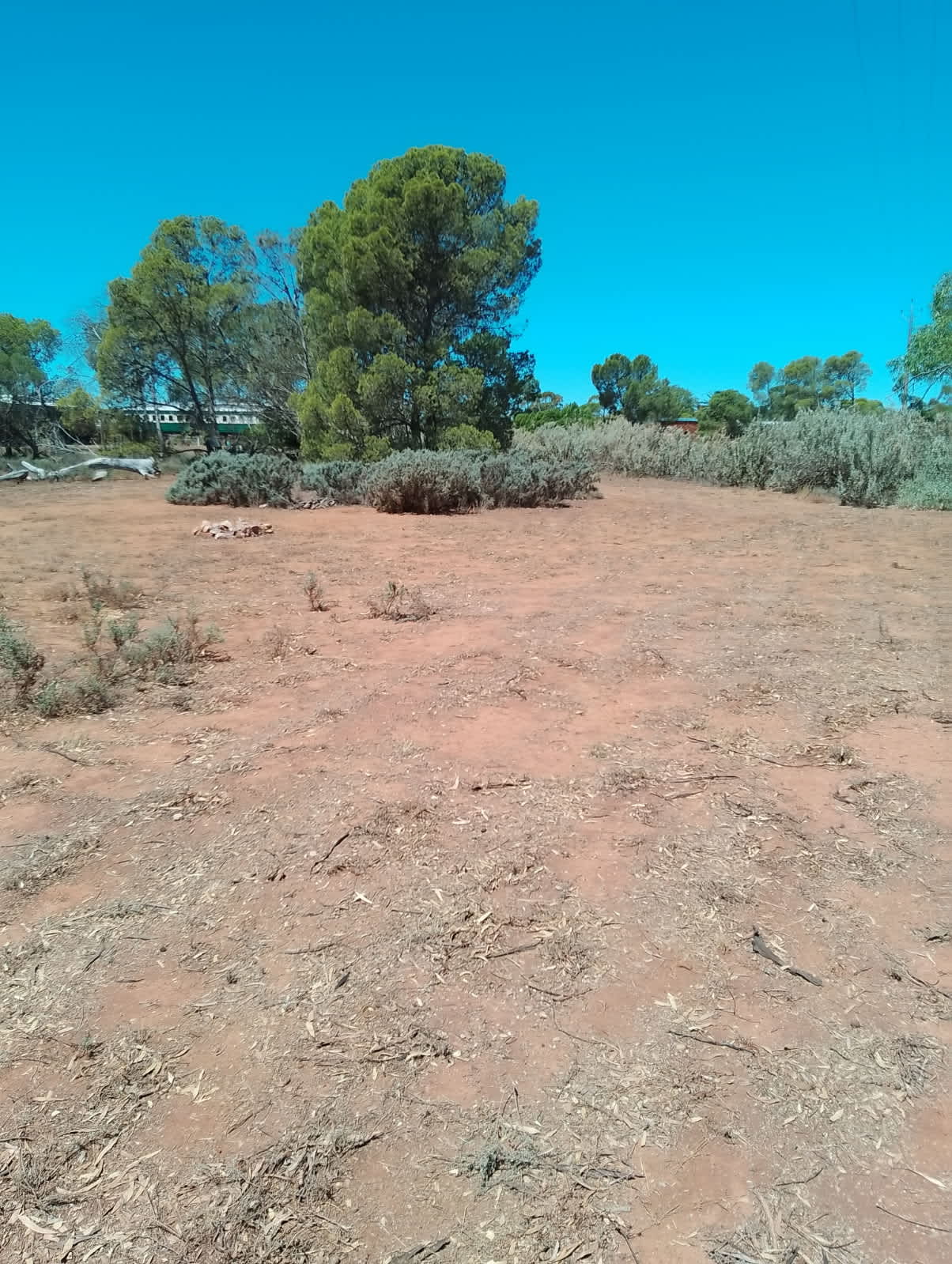 Willangi Bush Escapes