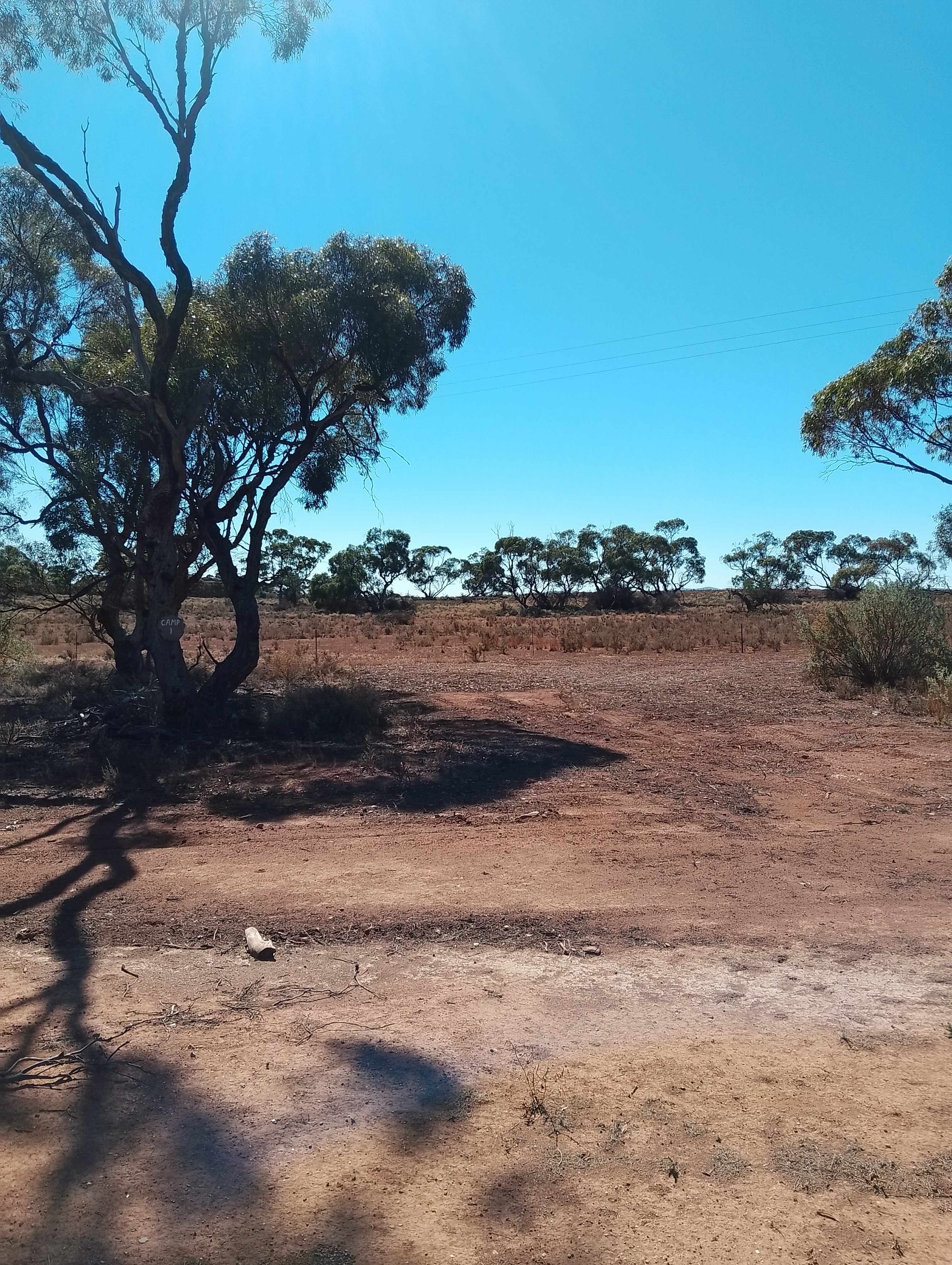 Willangi Bush Escapes