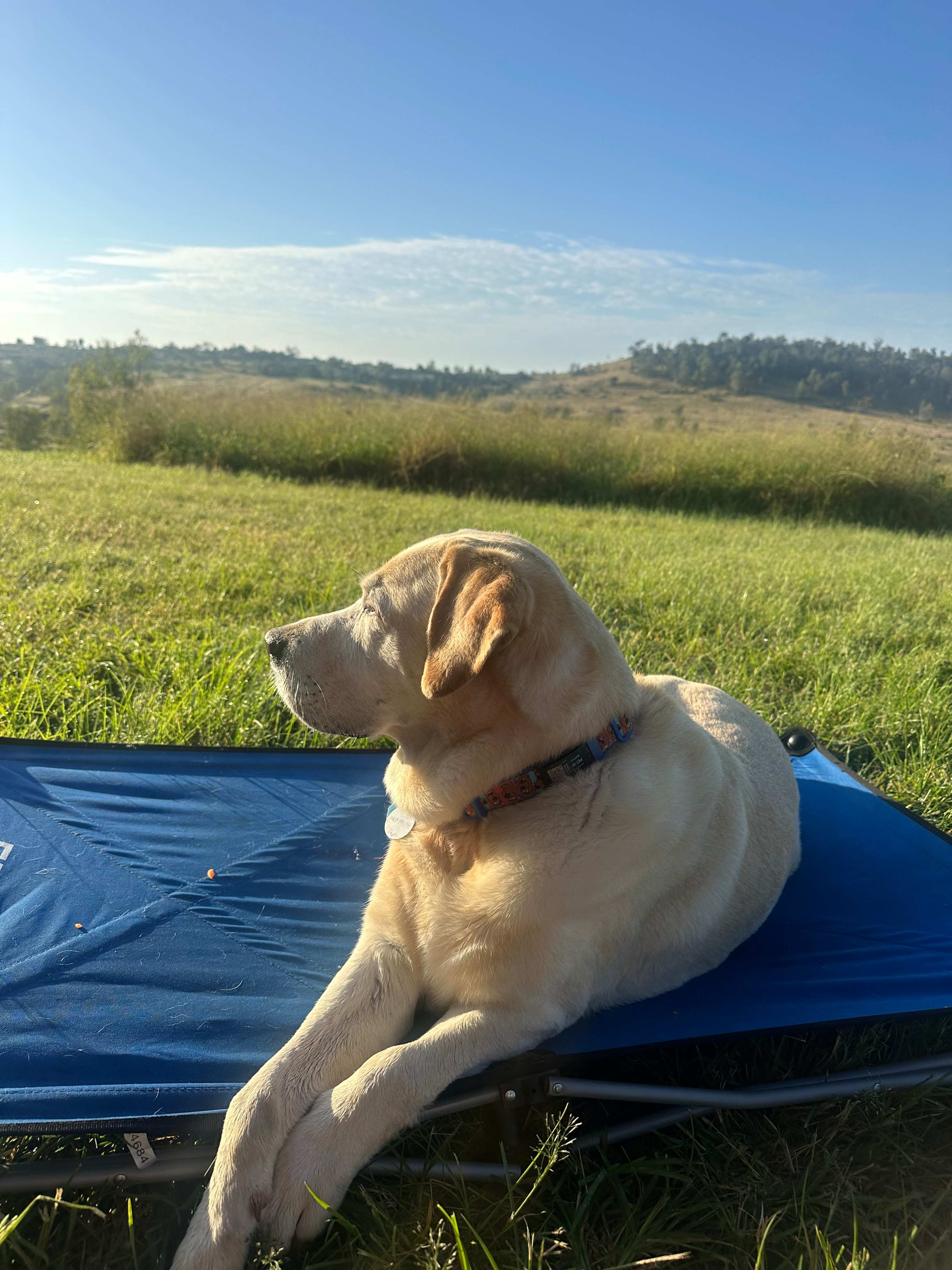Deborah’s coalCreek Pottery+Camping