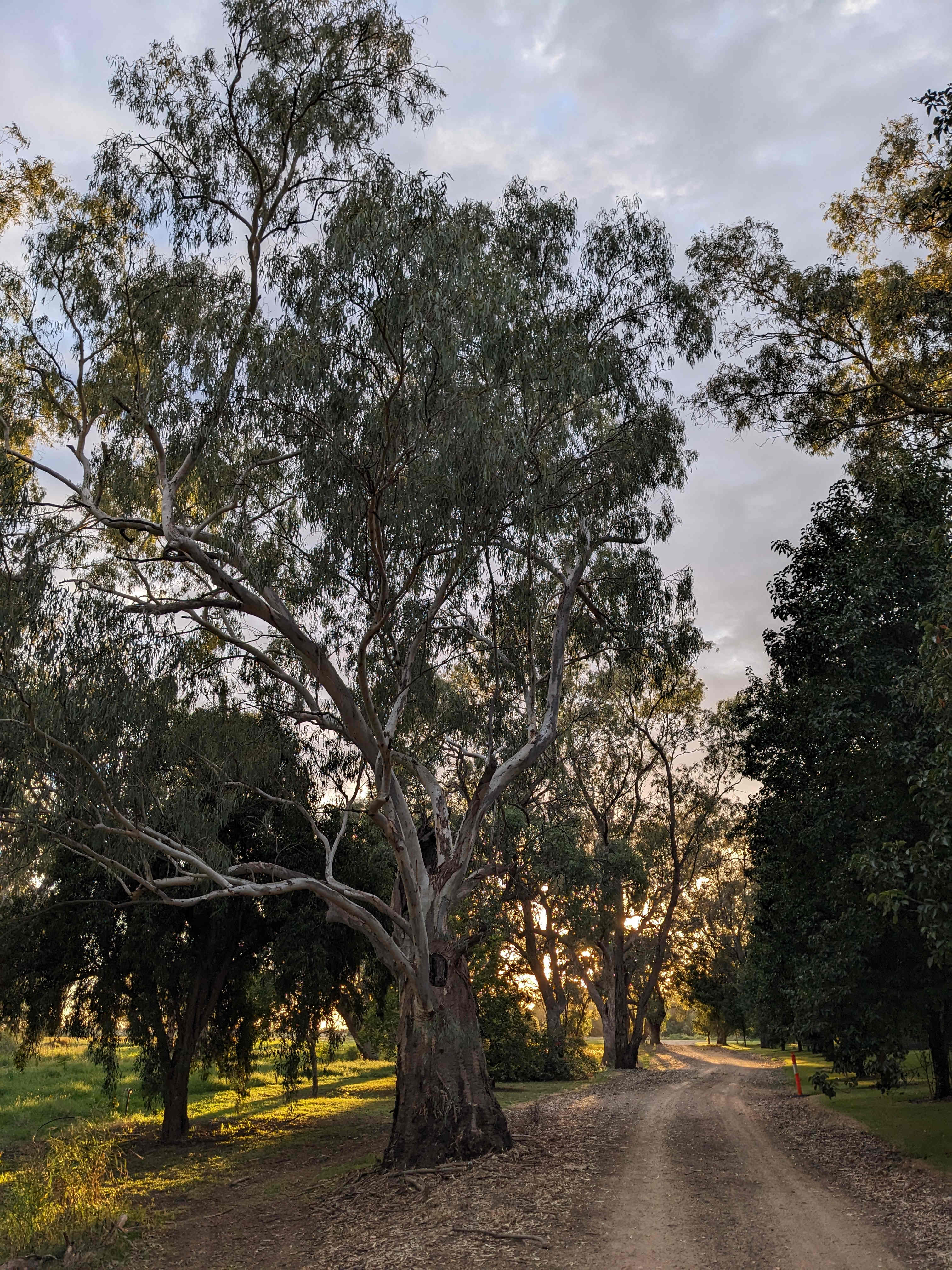 Tarrawingee Farm - Curated Gardens