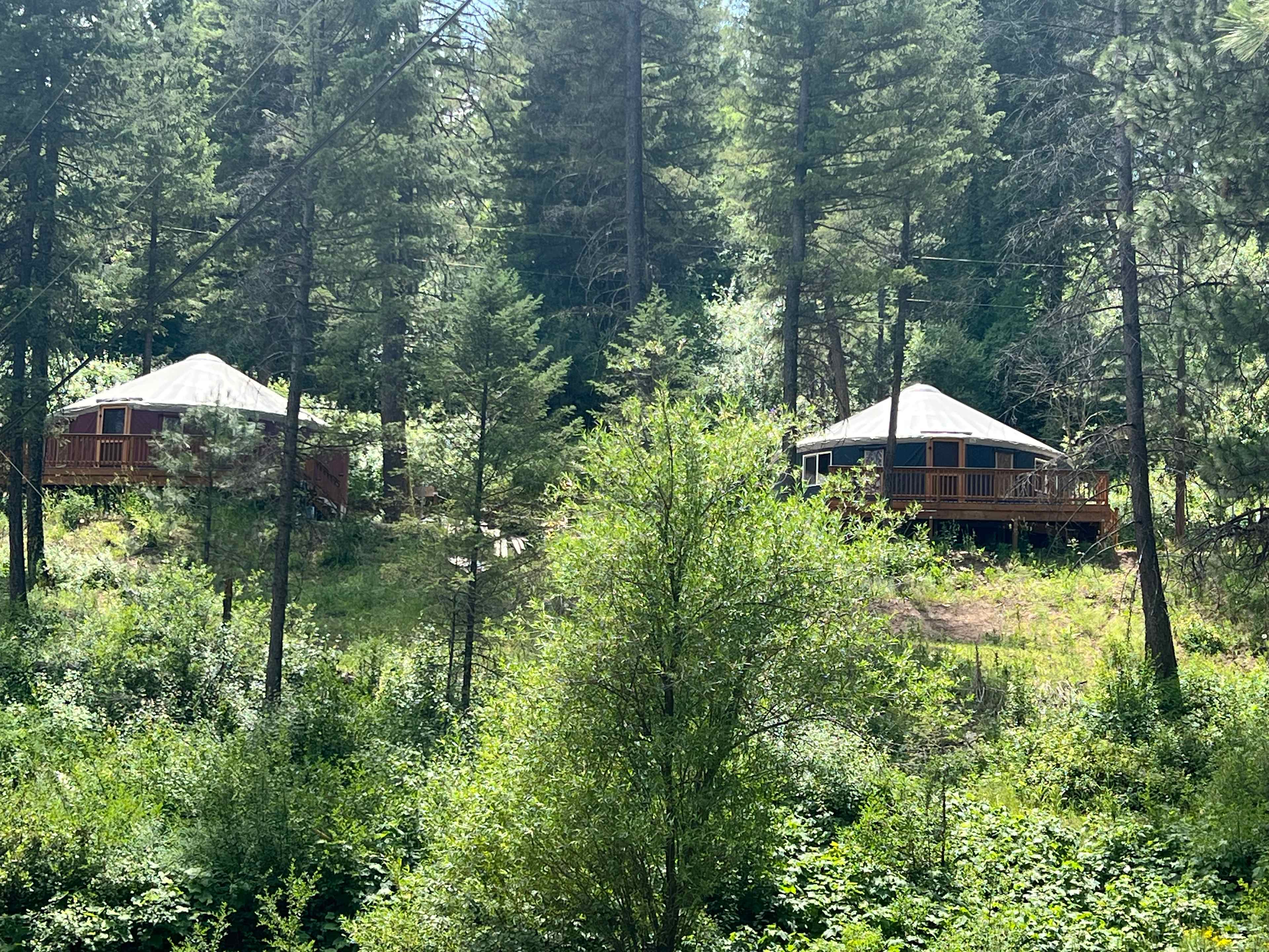 Cozy and POSH-est Yurt
