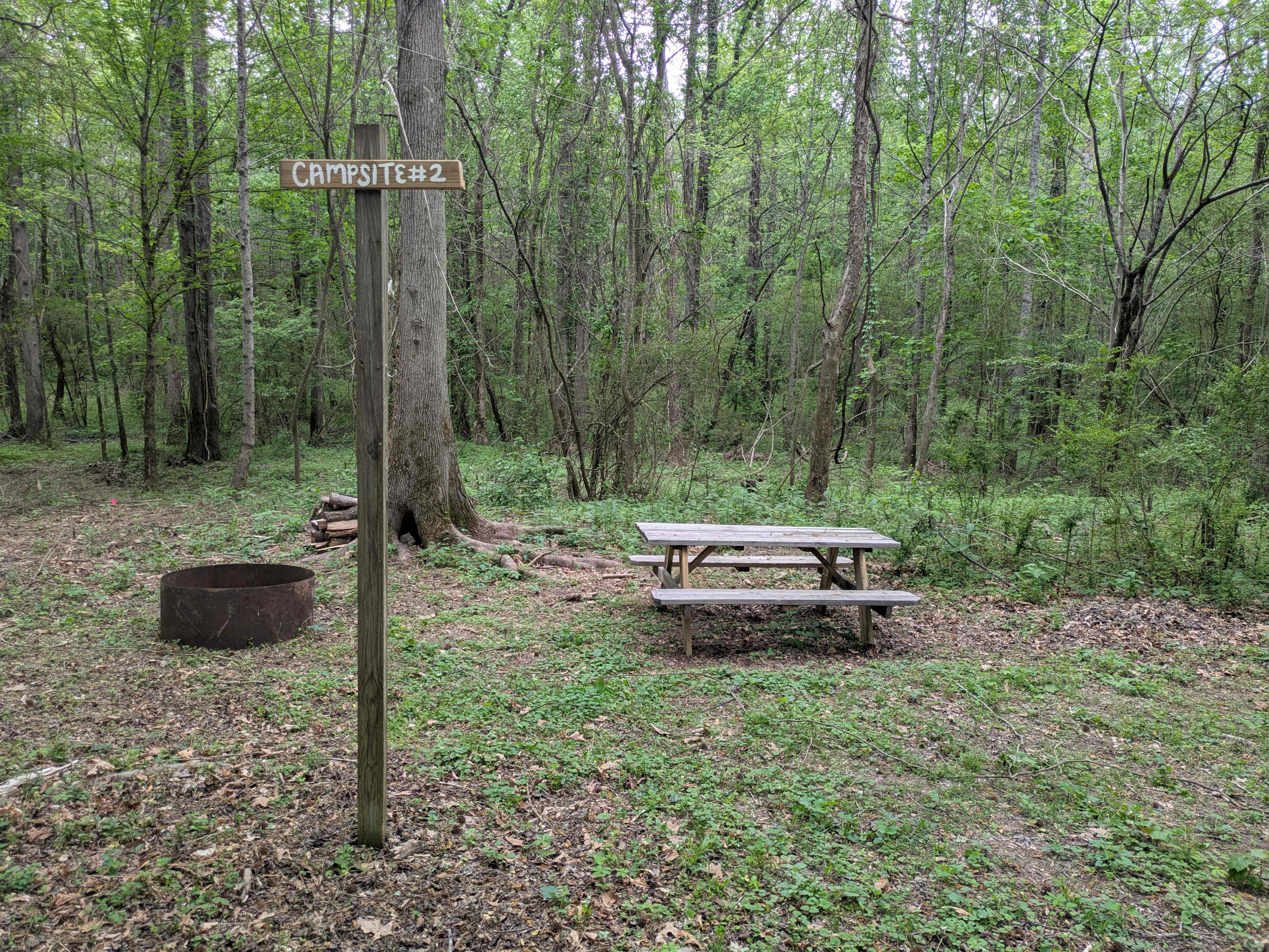 Picture of the site