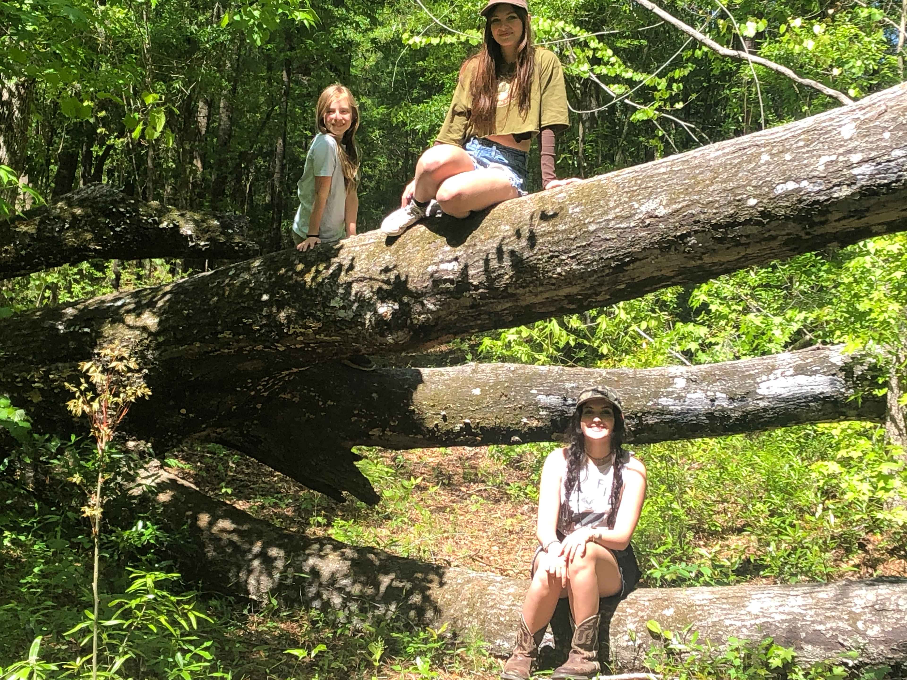 Gotta love a good fallen tree pose.
