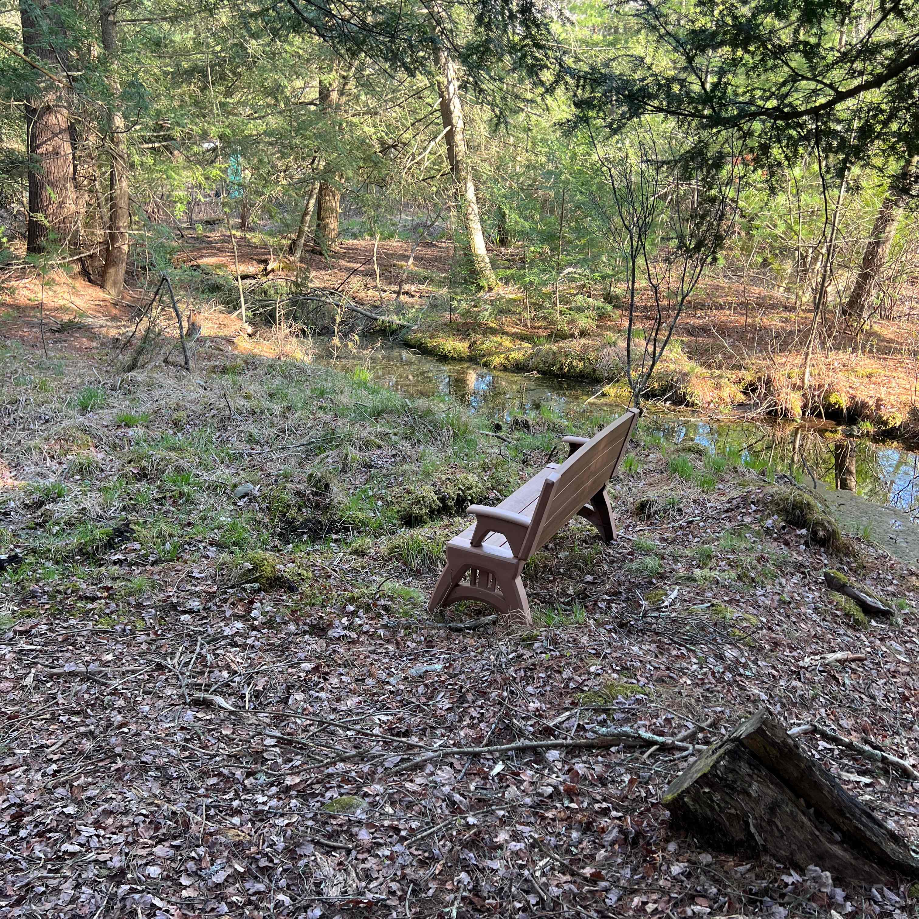 Crystal Spring Camp