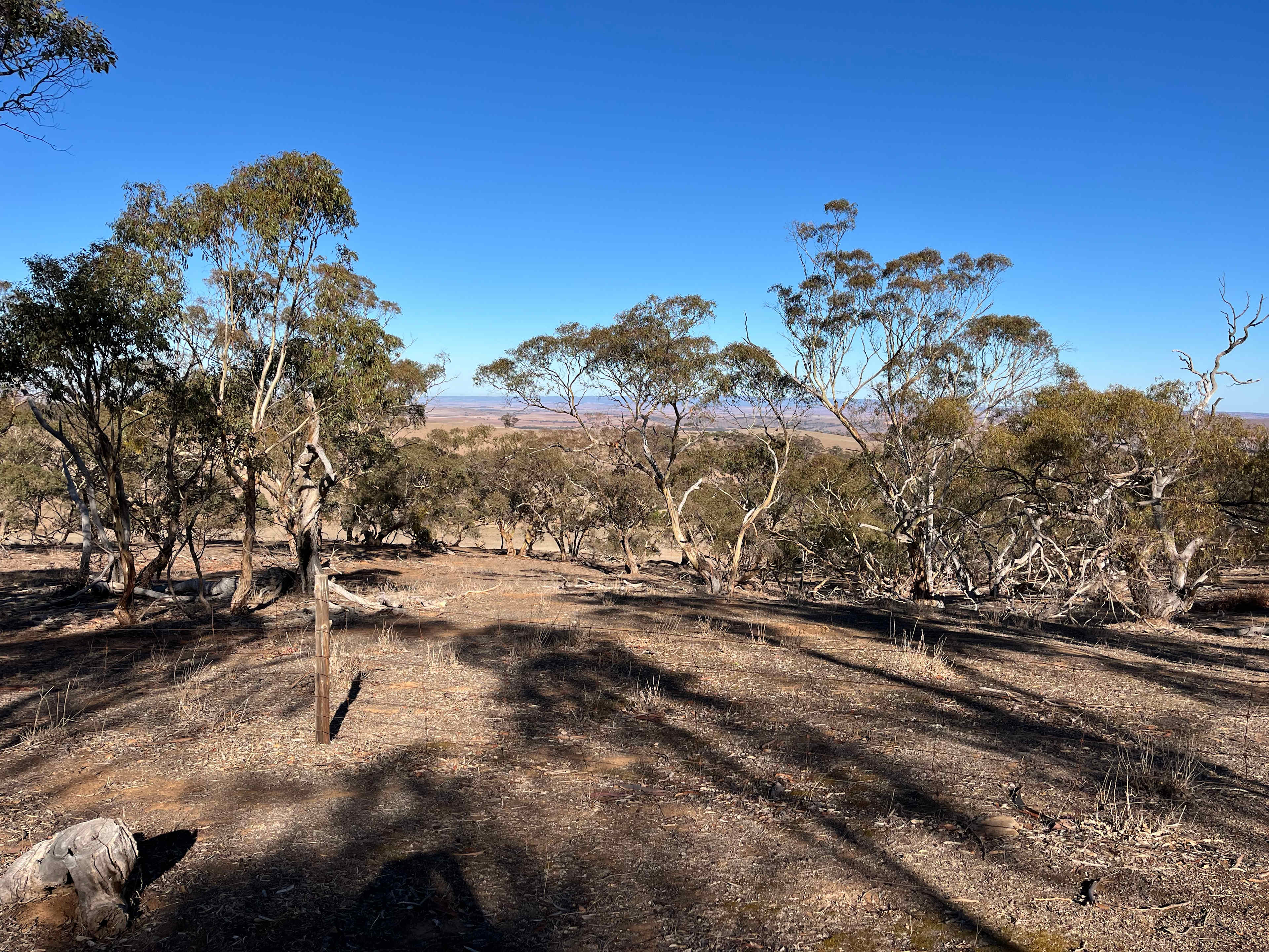 Heggies Hill Bush Camp