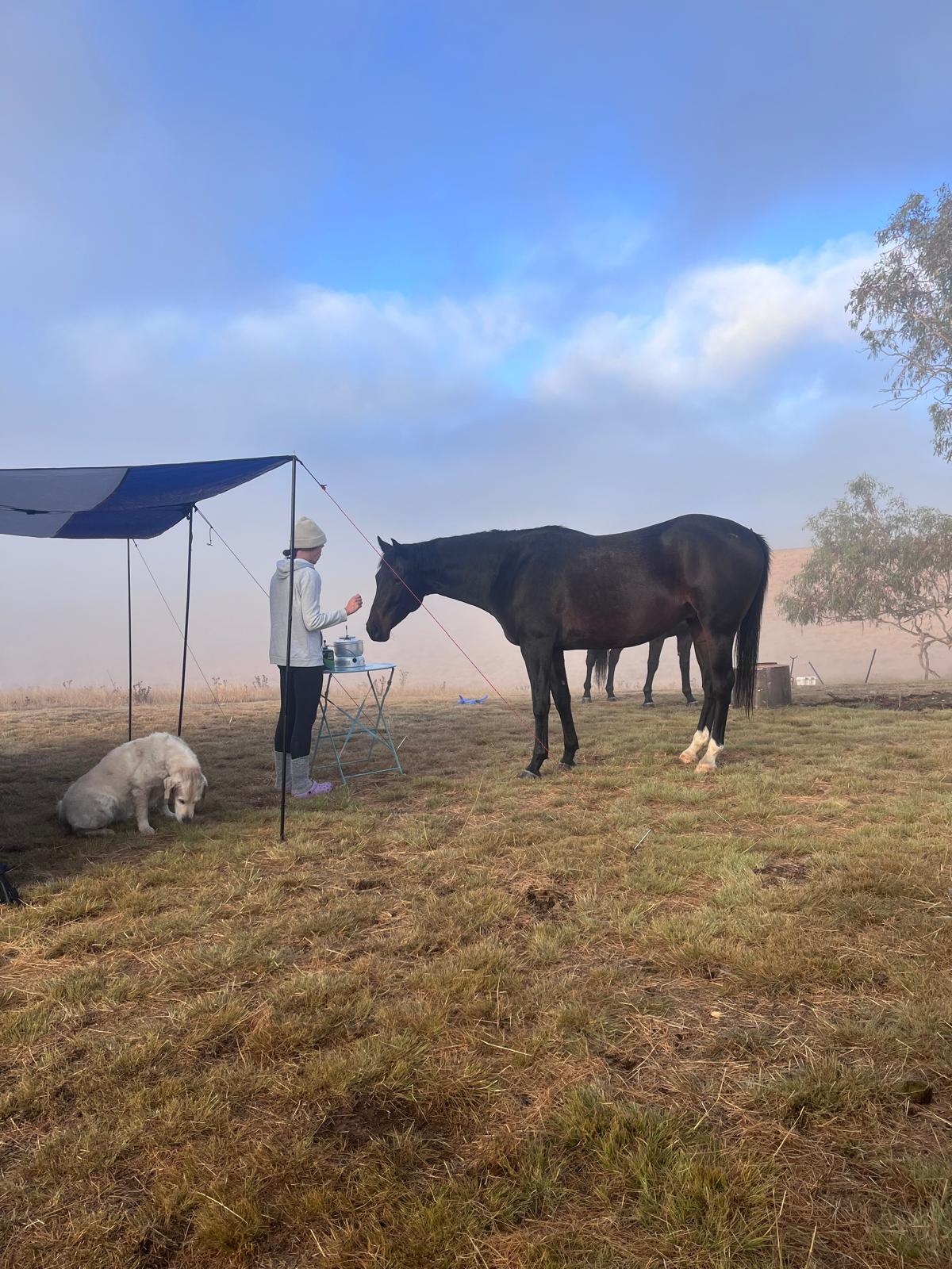 Michelago HILLDYKE 160 yr old farm