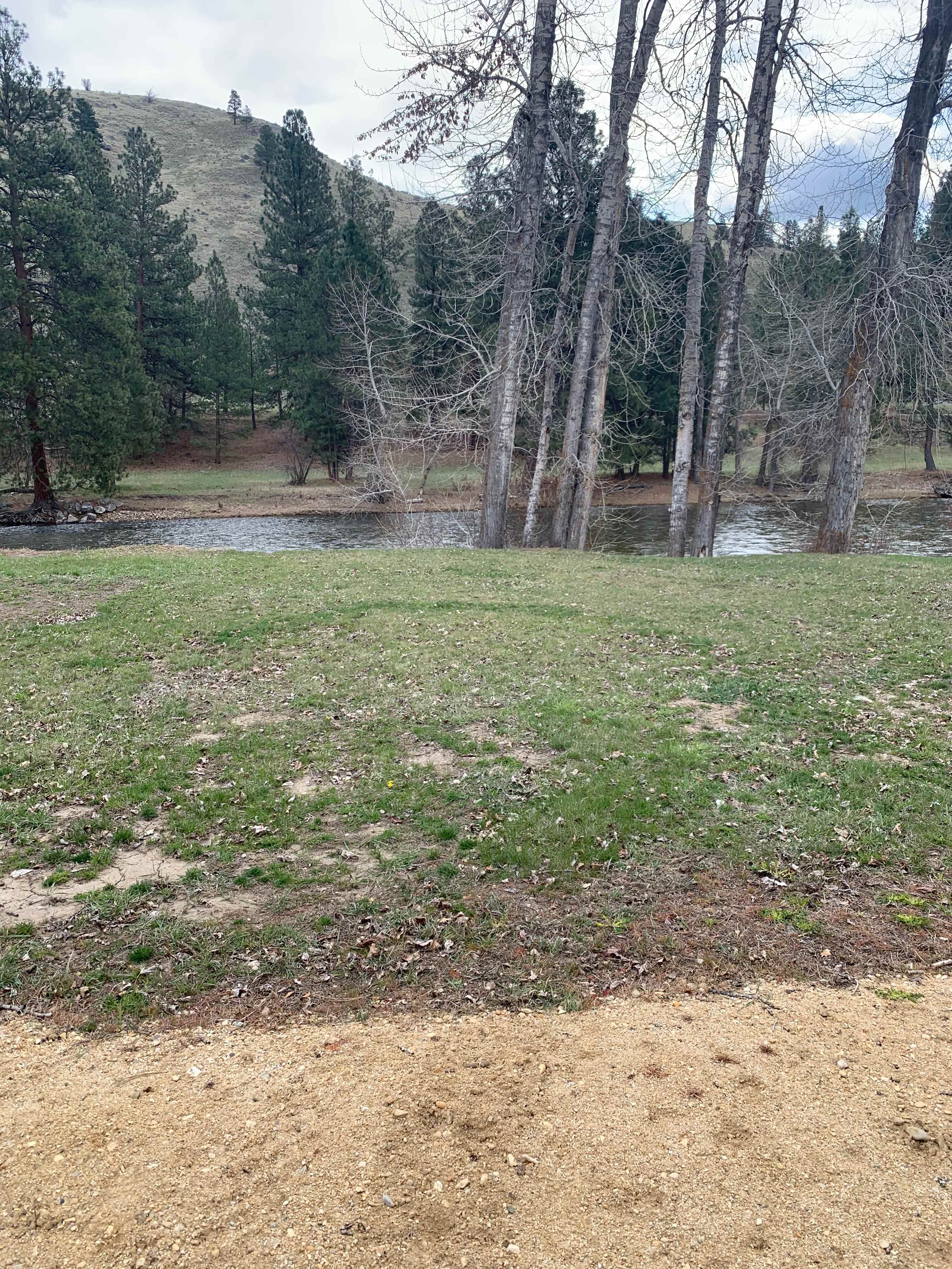 View of the Bitterroot River