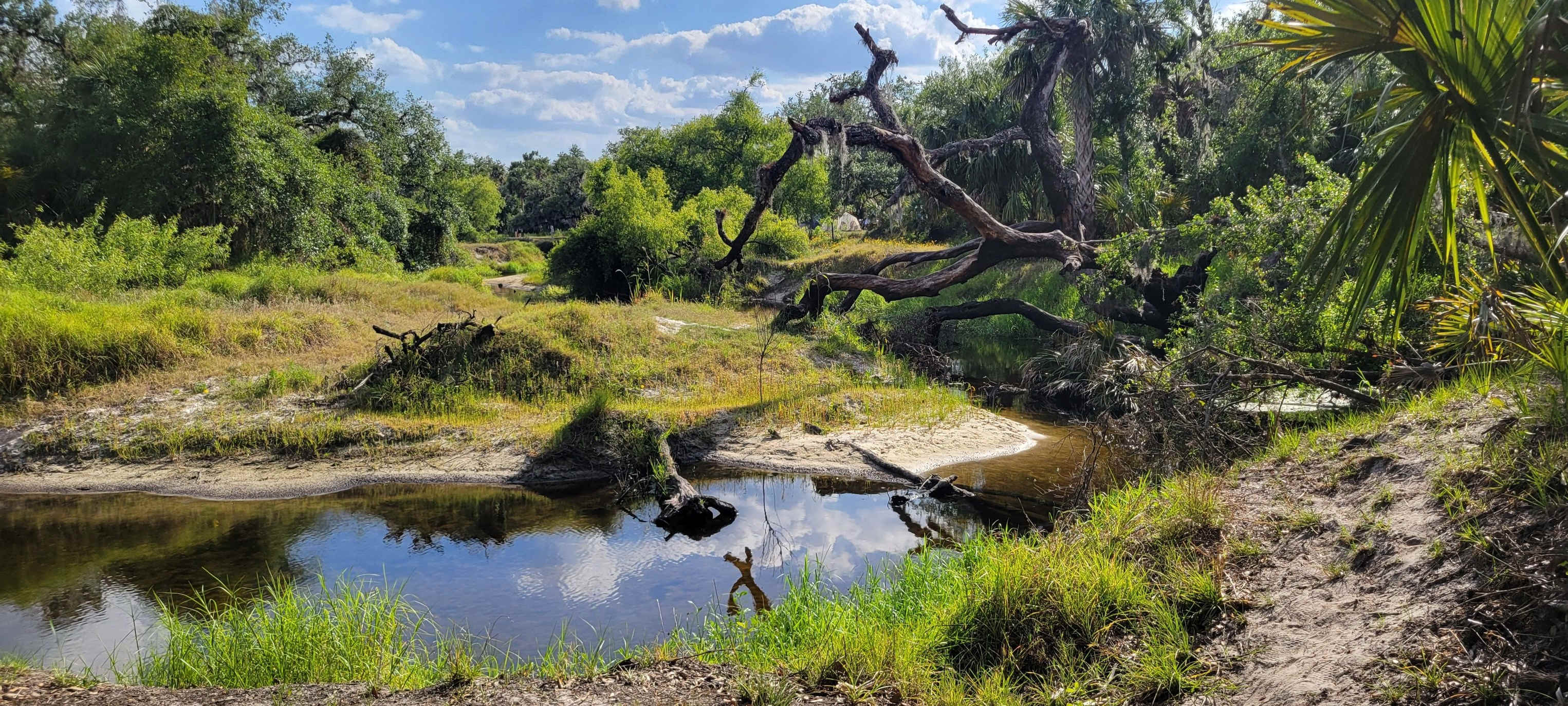 River view from one campsite