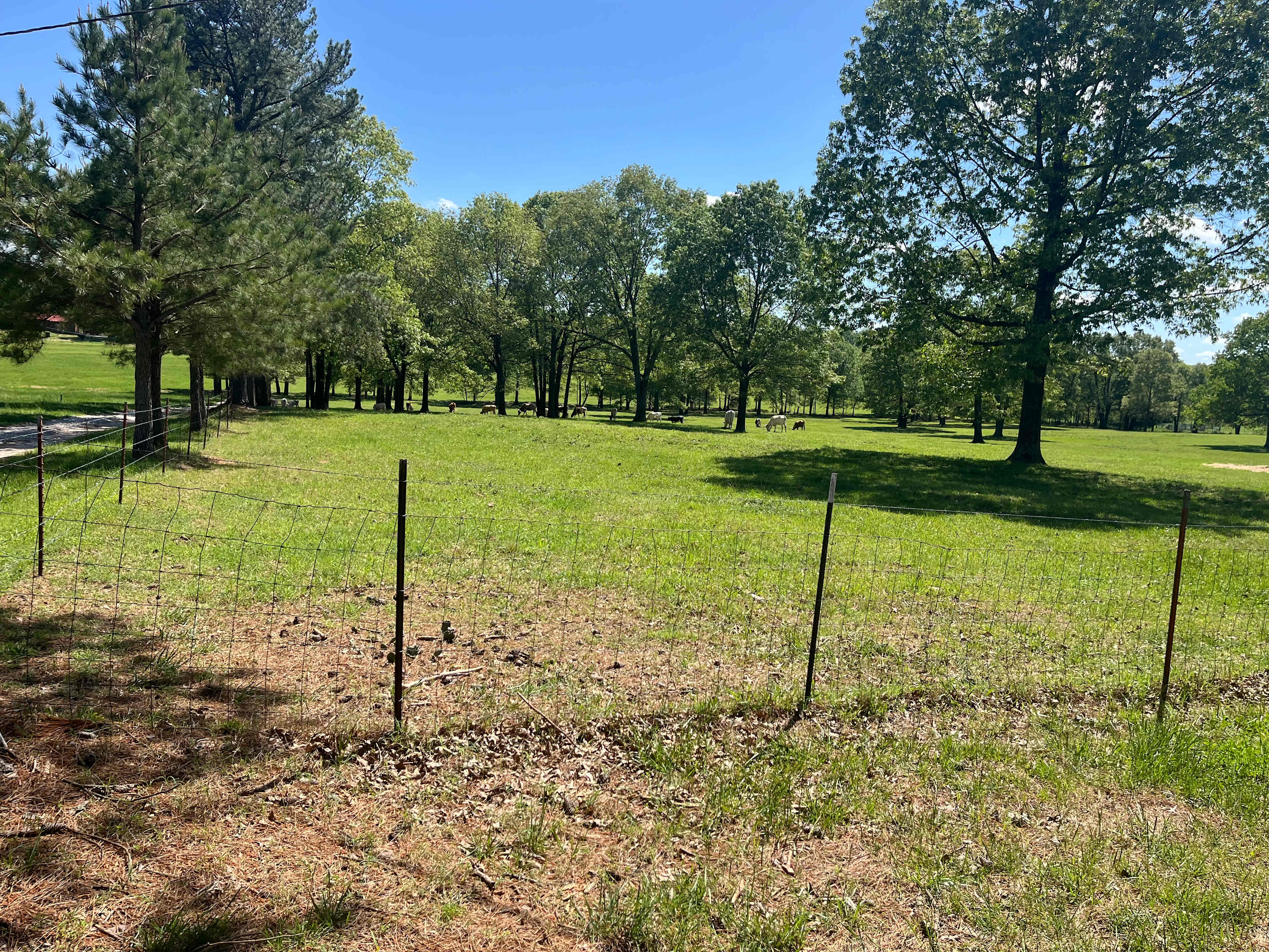 Pioneer Lane Farm
