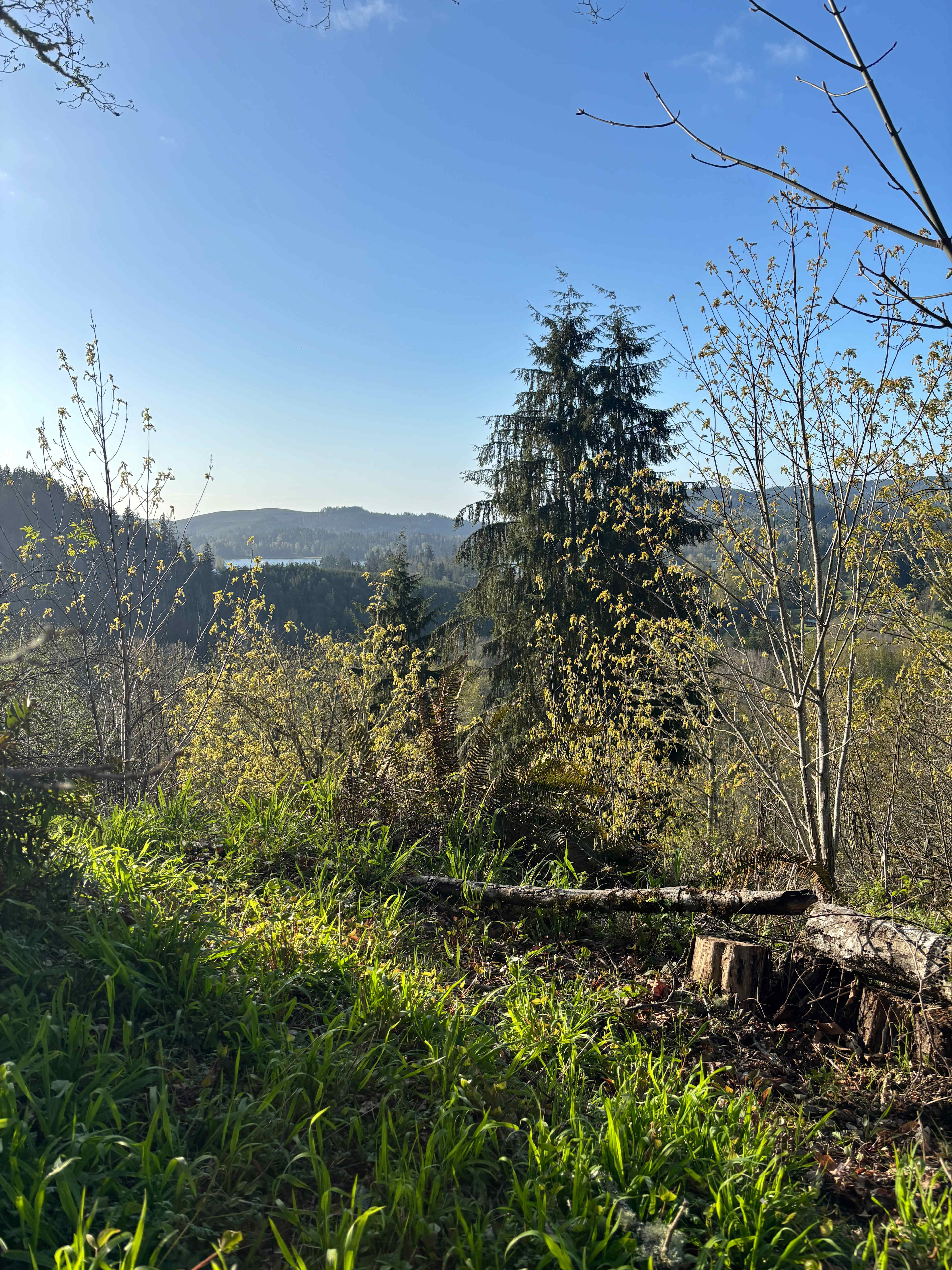 Alder Grove Retreat