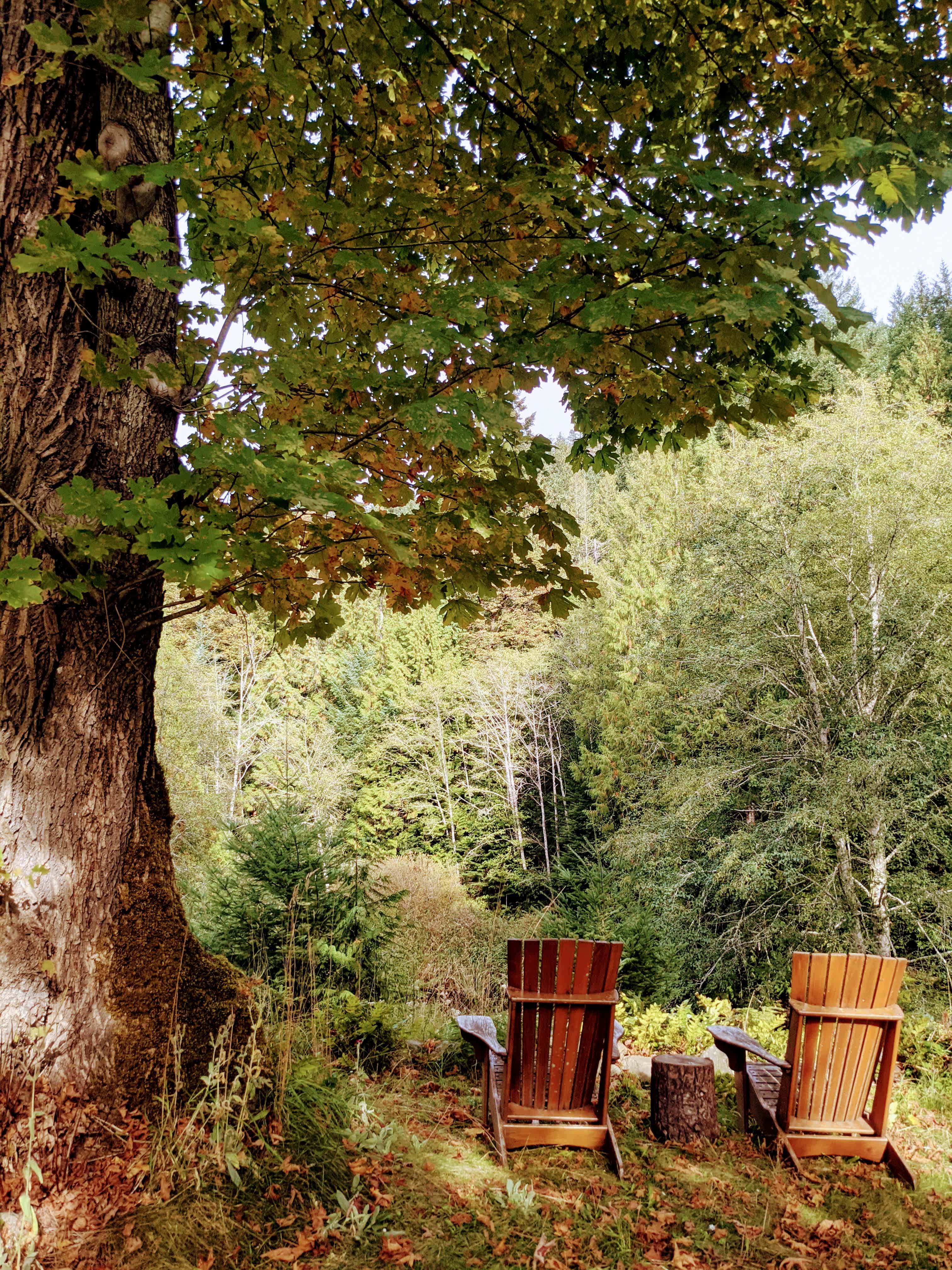 Natures Way Yurt & Spa
