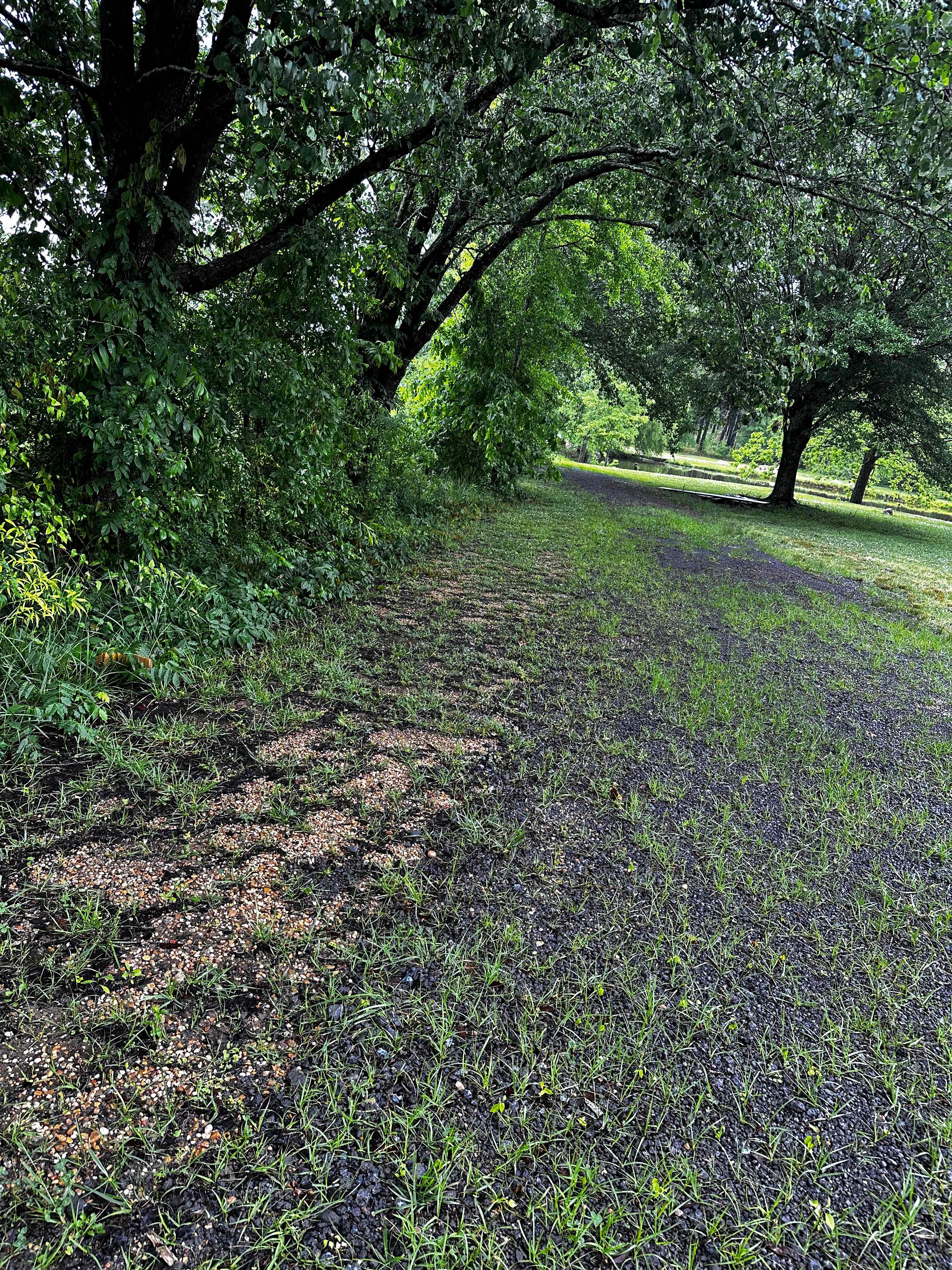 Rock Hill Campsite
