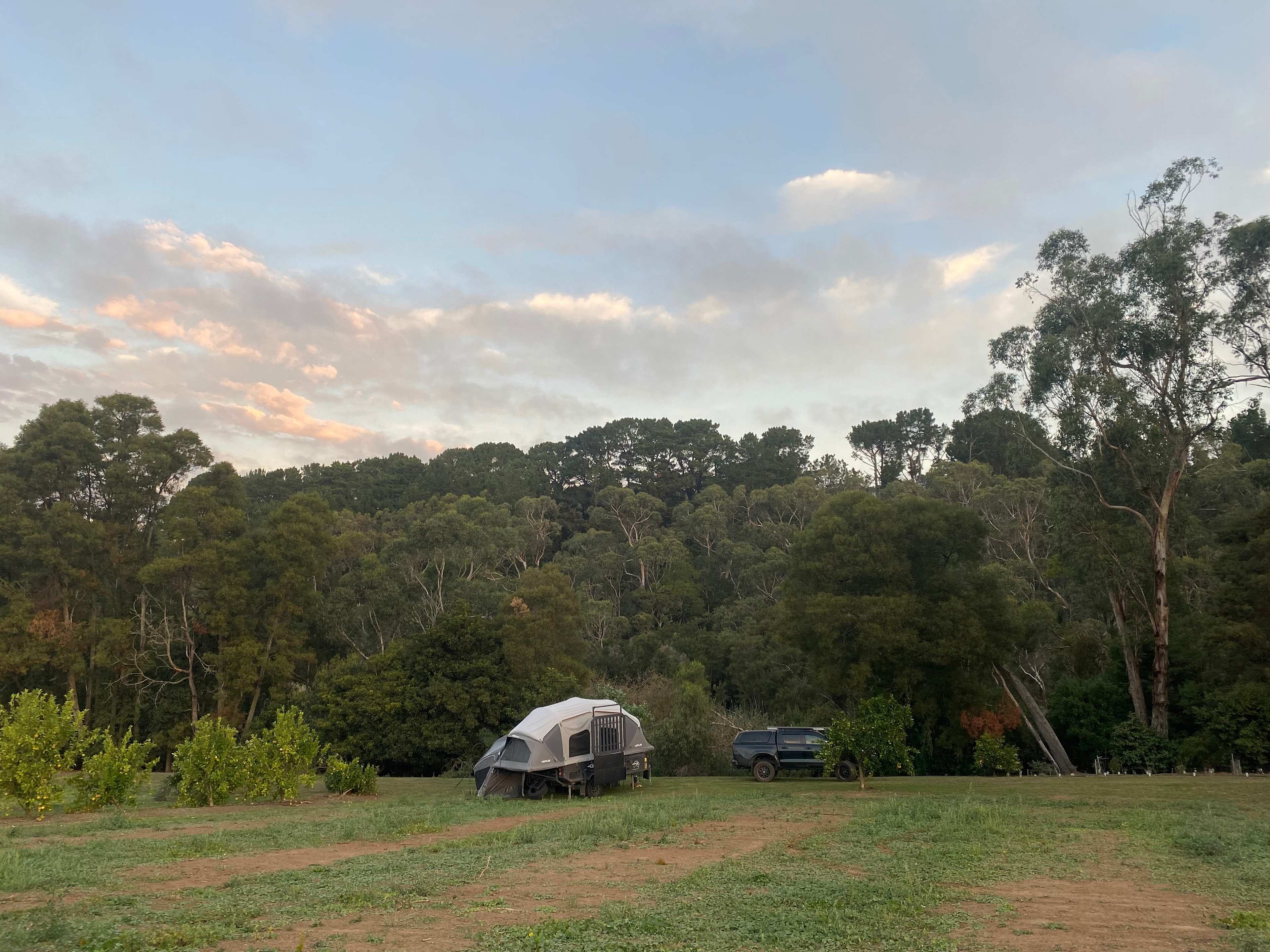 Red Hill Orchard Farm Stay