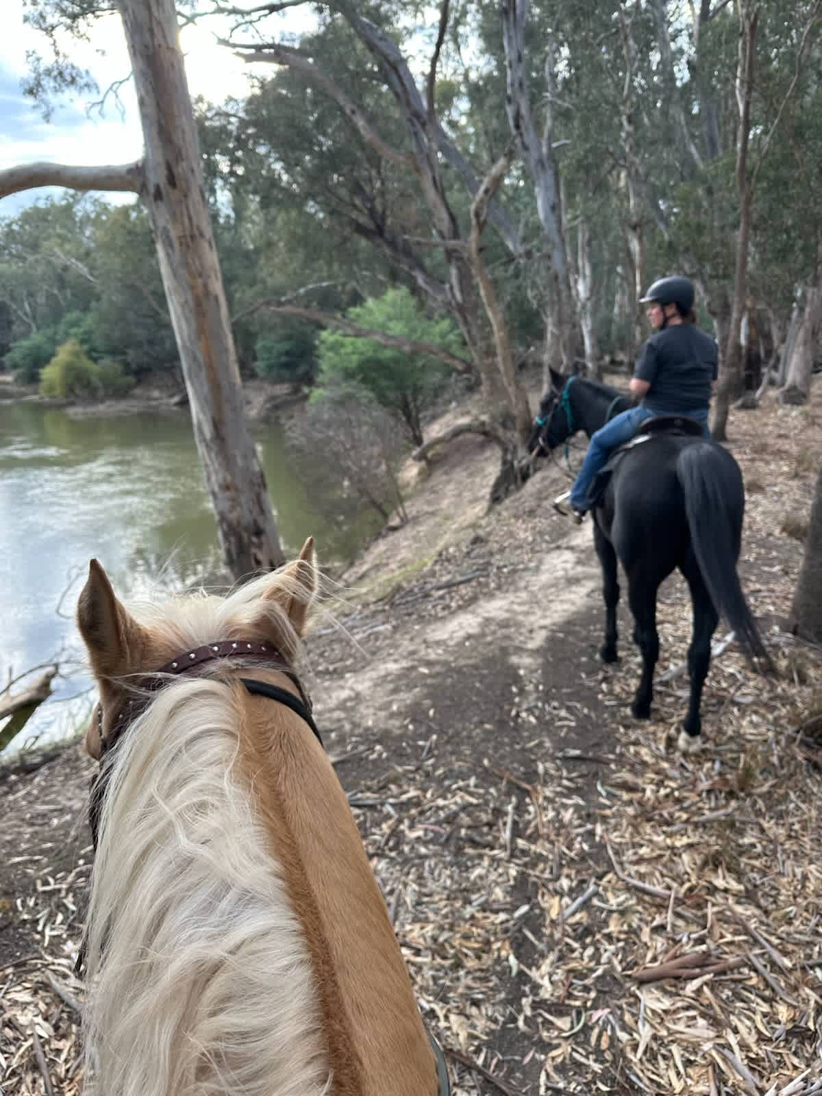 Goulburn Downs