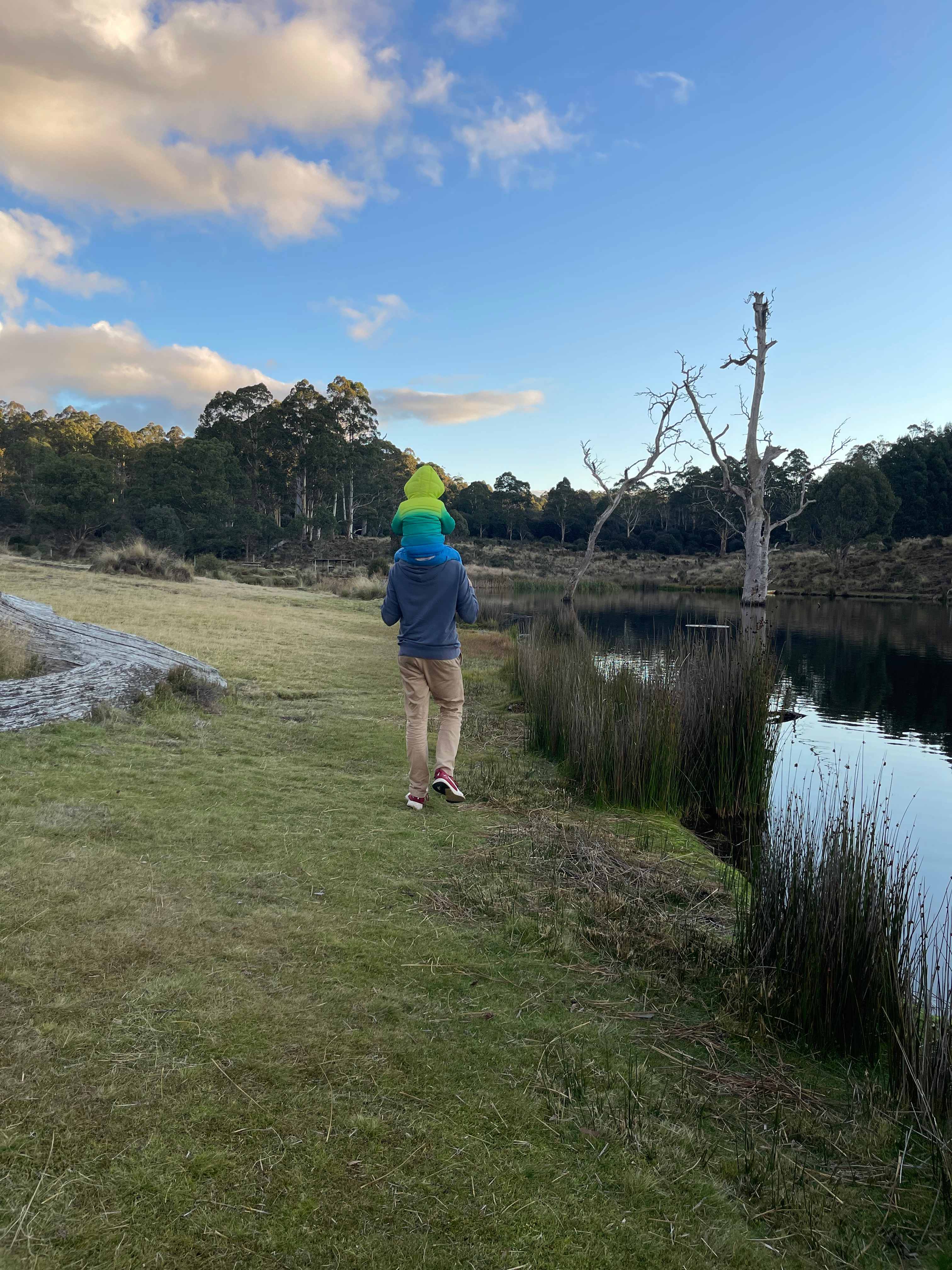 Cradle Mountain Fishery and Camping