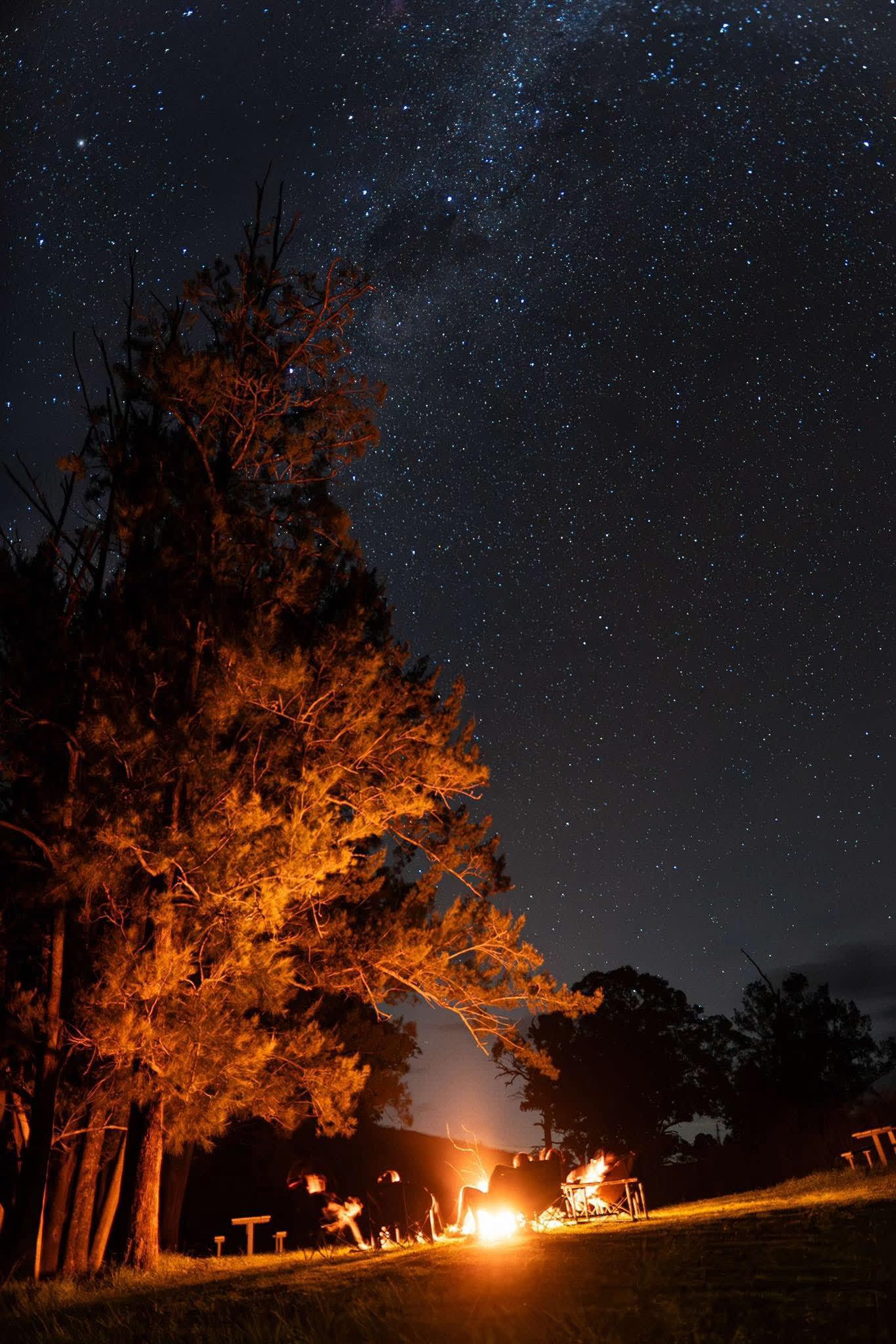 Night sky is incredible 