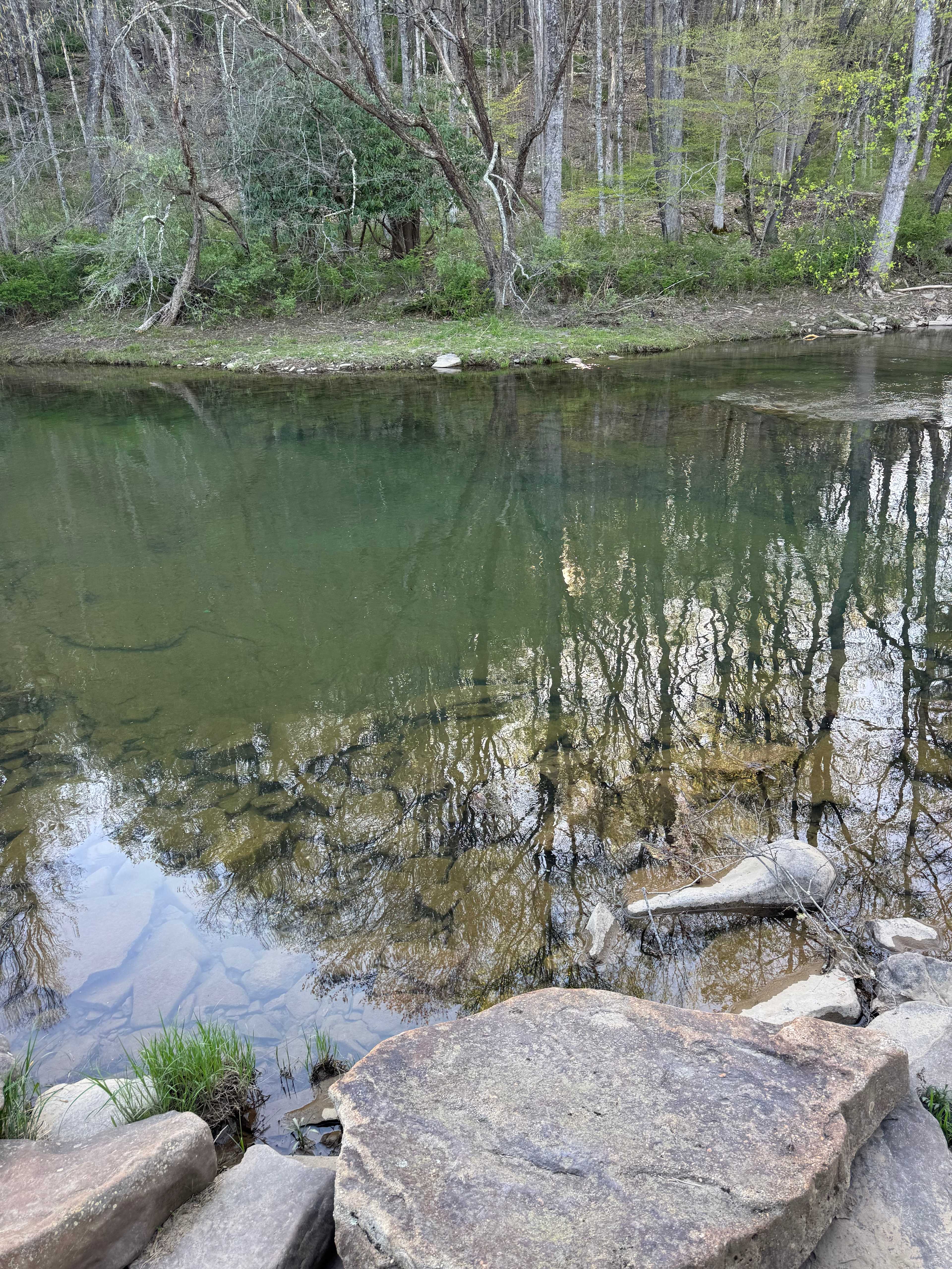 Knapps Creek Getaway