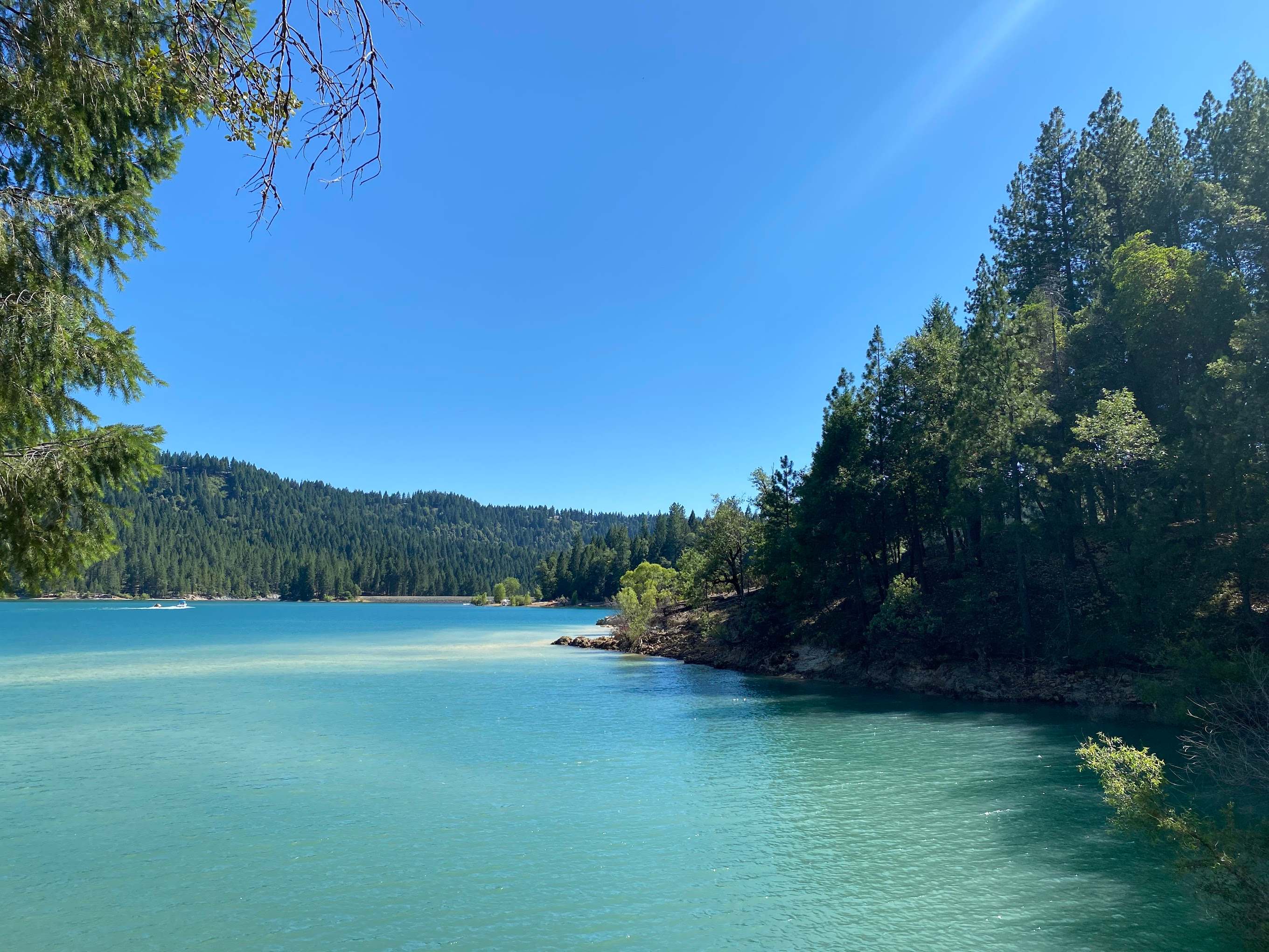 Scotts Flat Campground