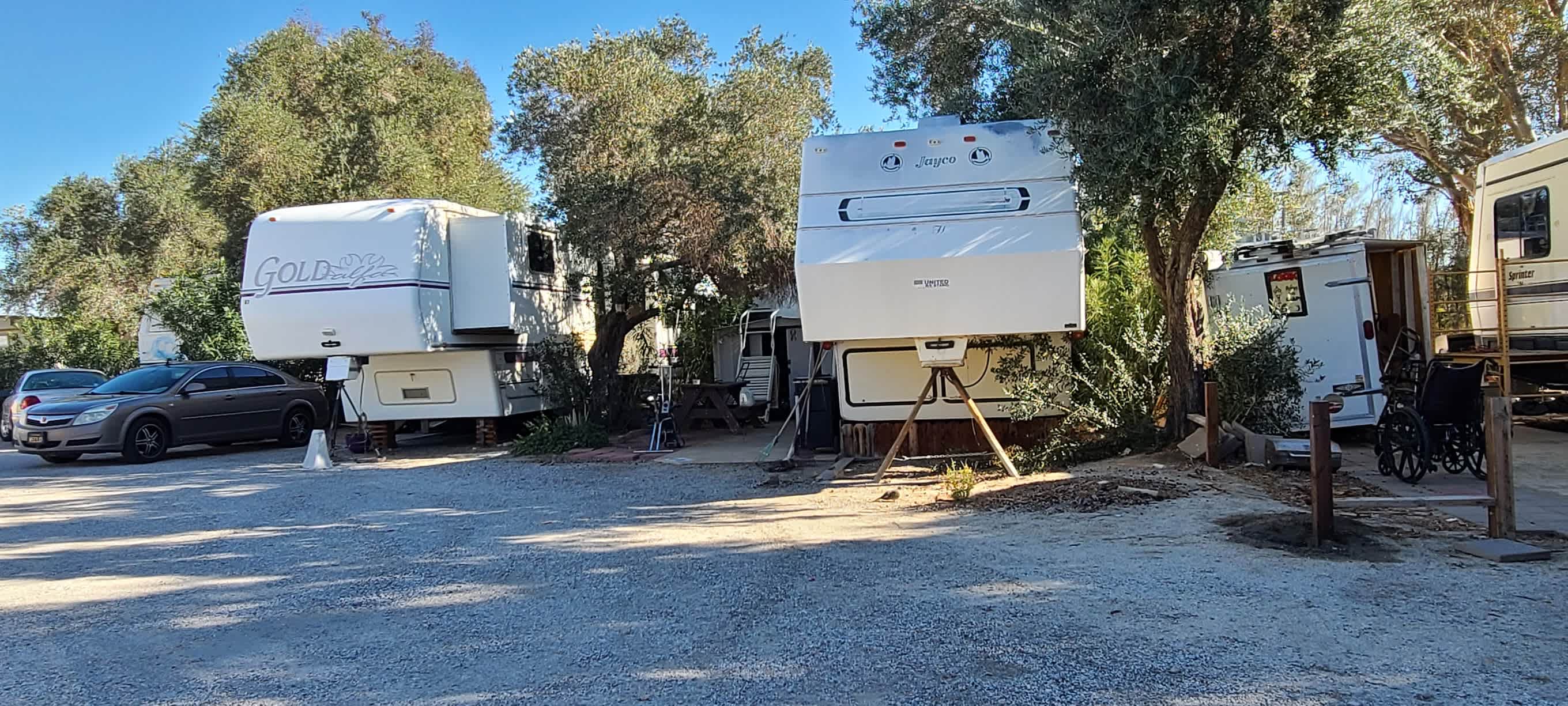 Palm Drive RV & Mobile Home Park