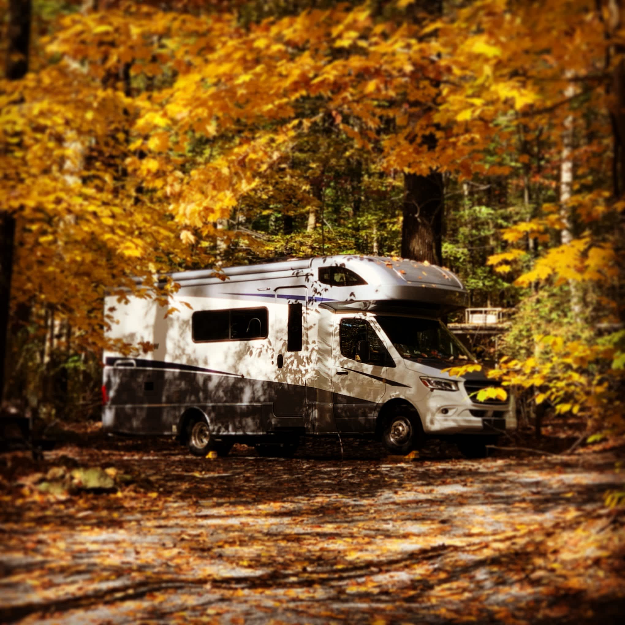 Ole Mink Farm Recreation Resort