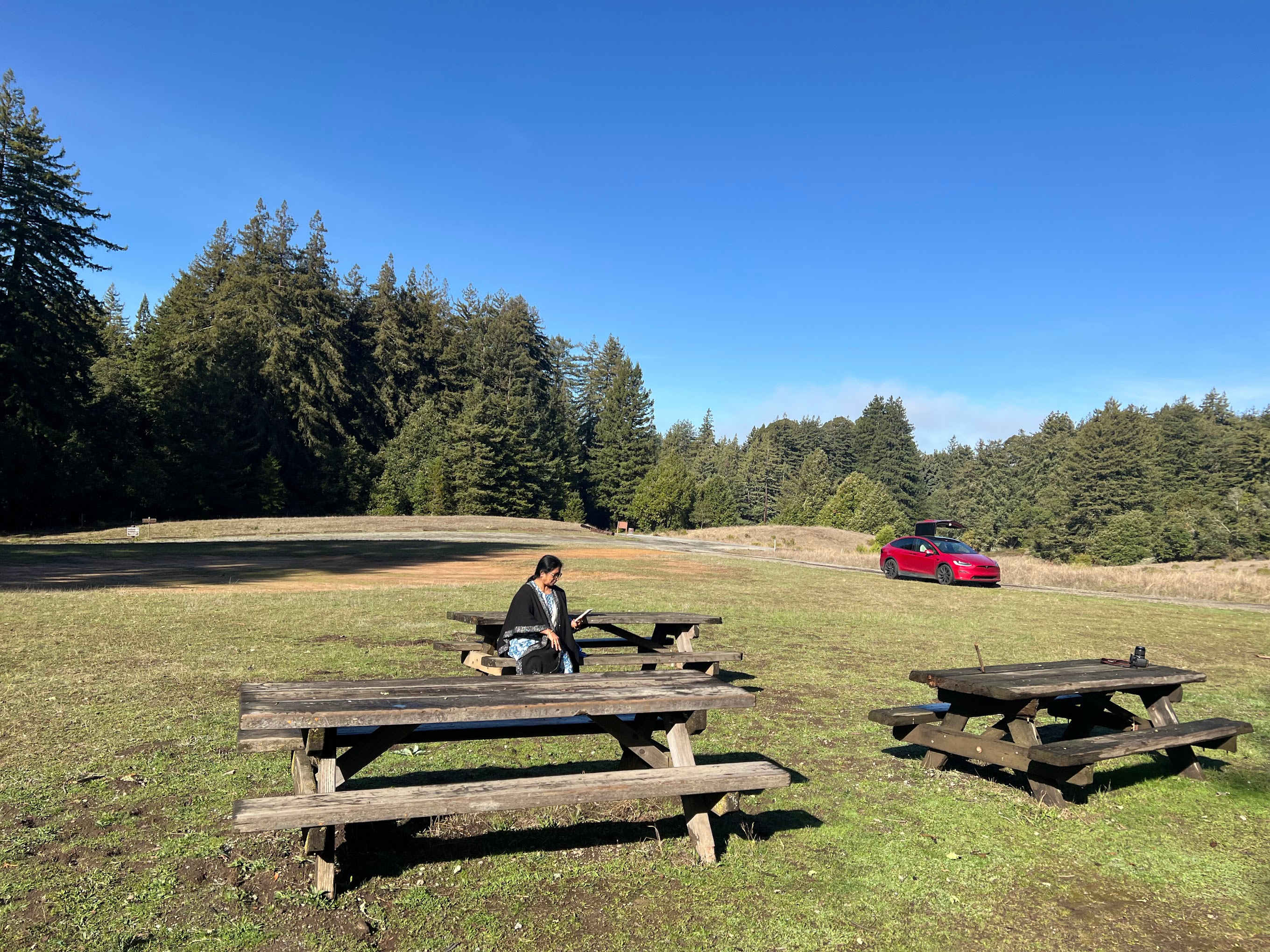 Mt Madonna County Park