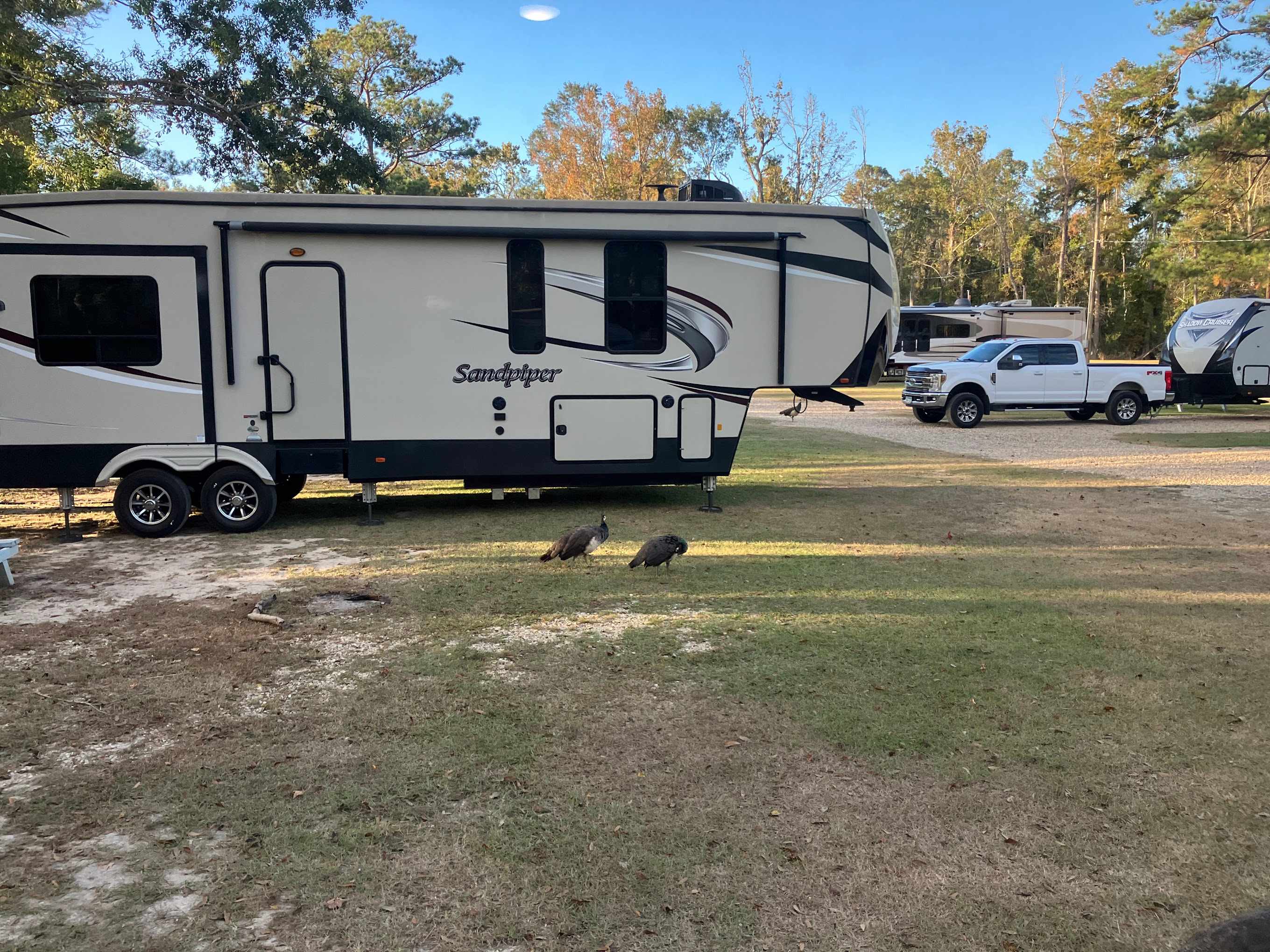 Hidden Oaks Campground