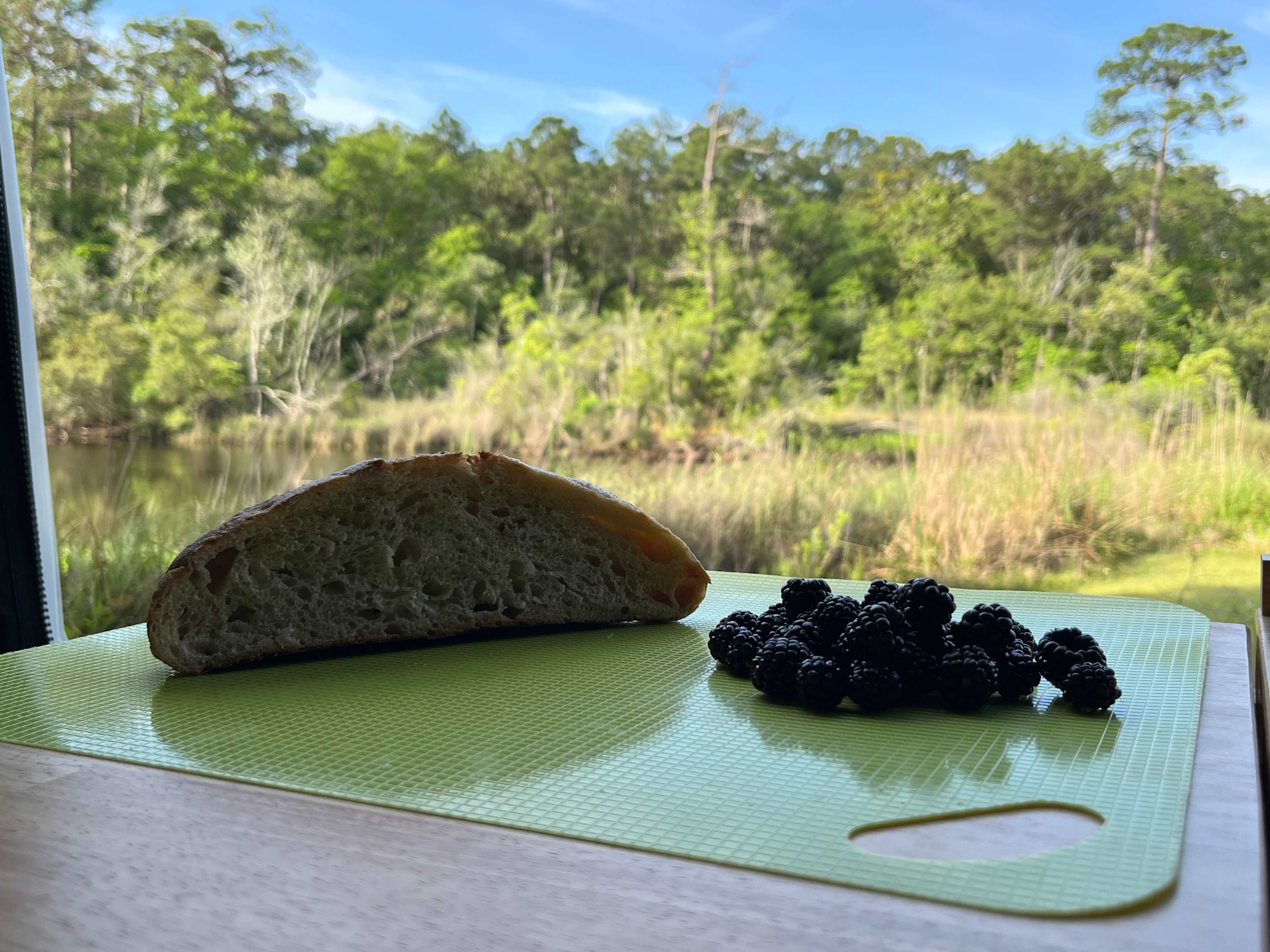 Bread, dewberries, and a wonderful view!