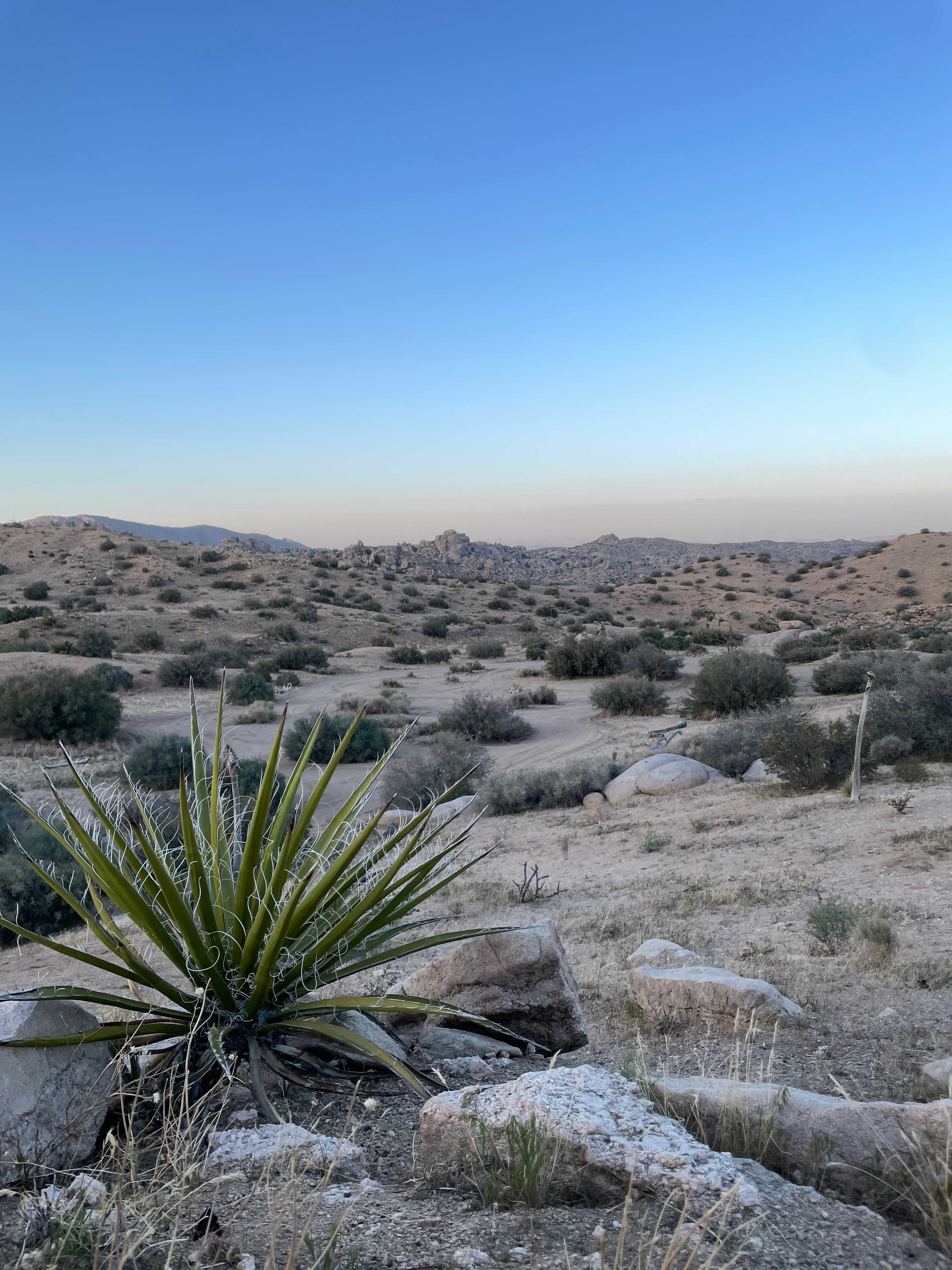 Boulder Gardens Sanctuary