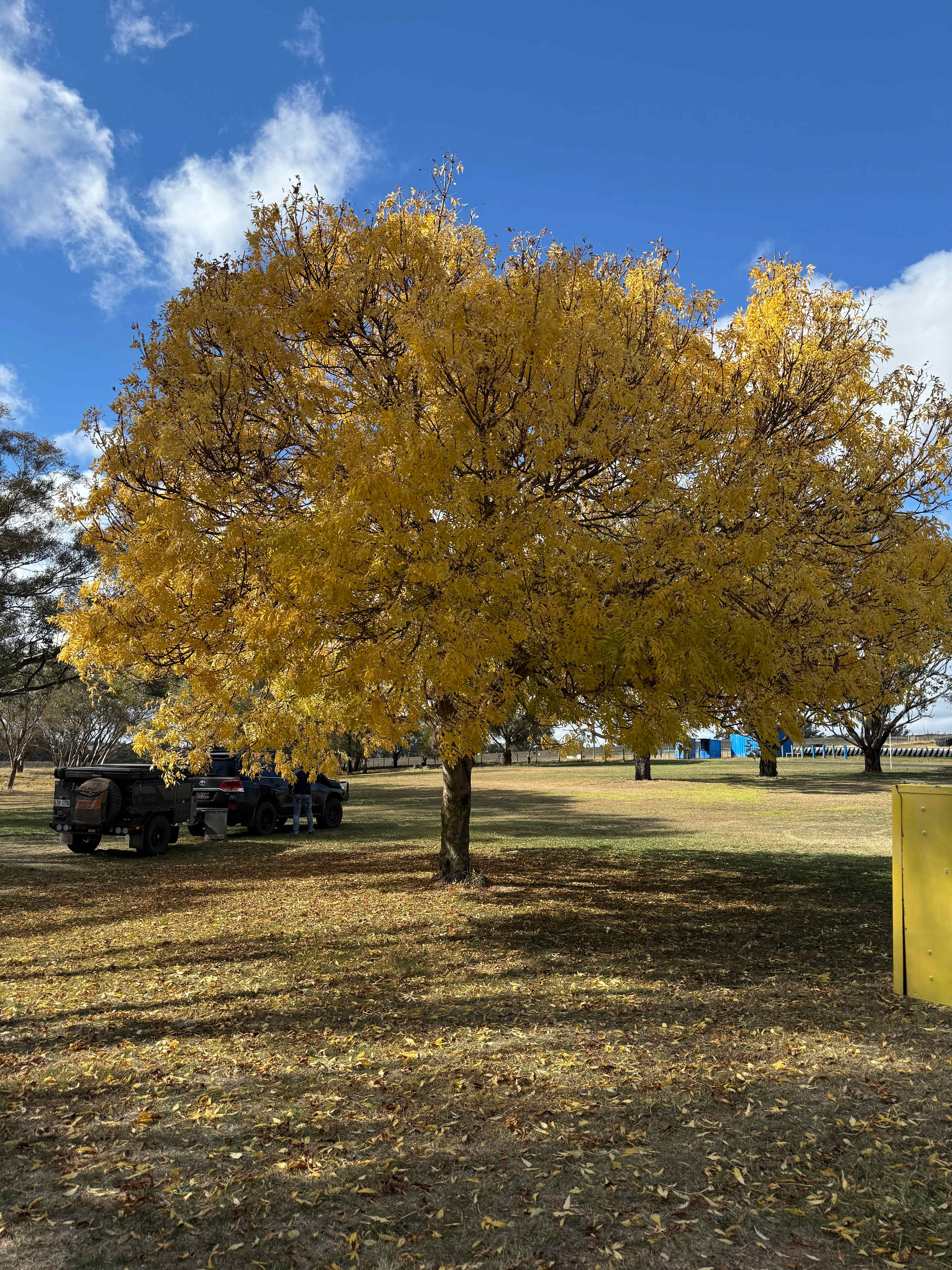 Borenore Billabong Field Days site