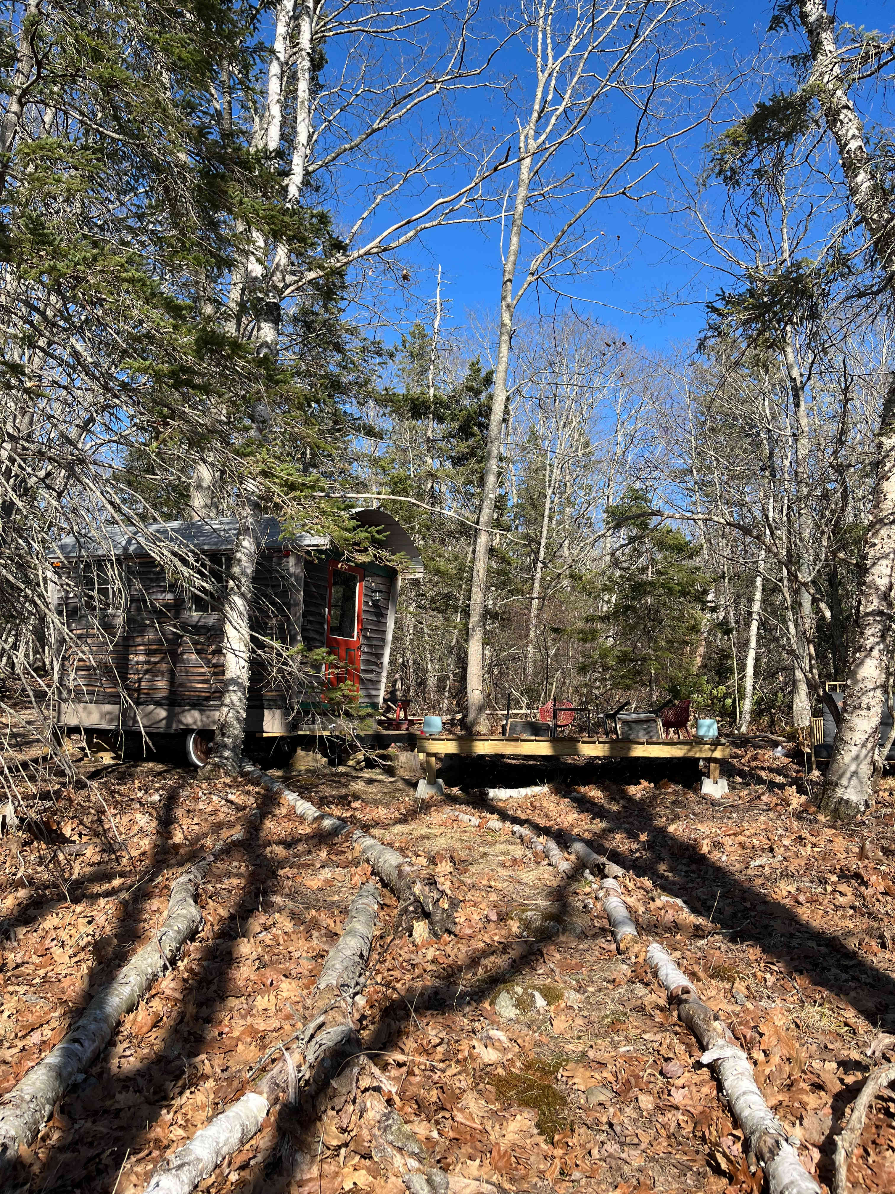 View of the Cabin 