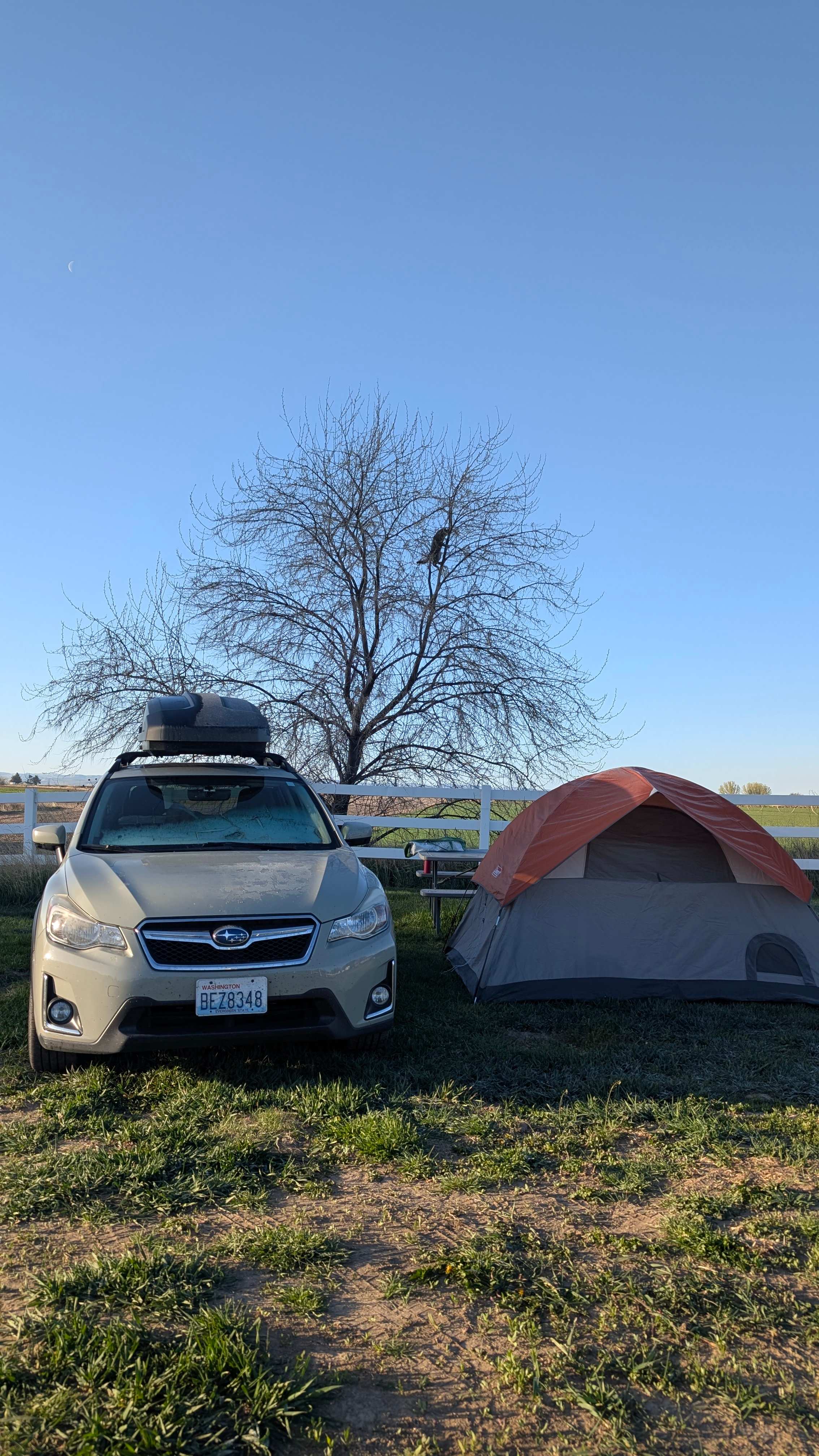 Country Camping close to town
