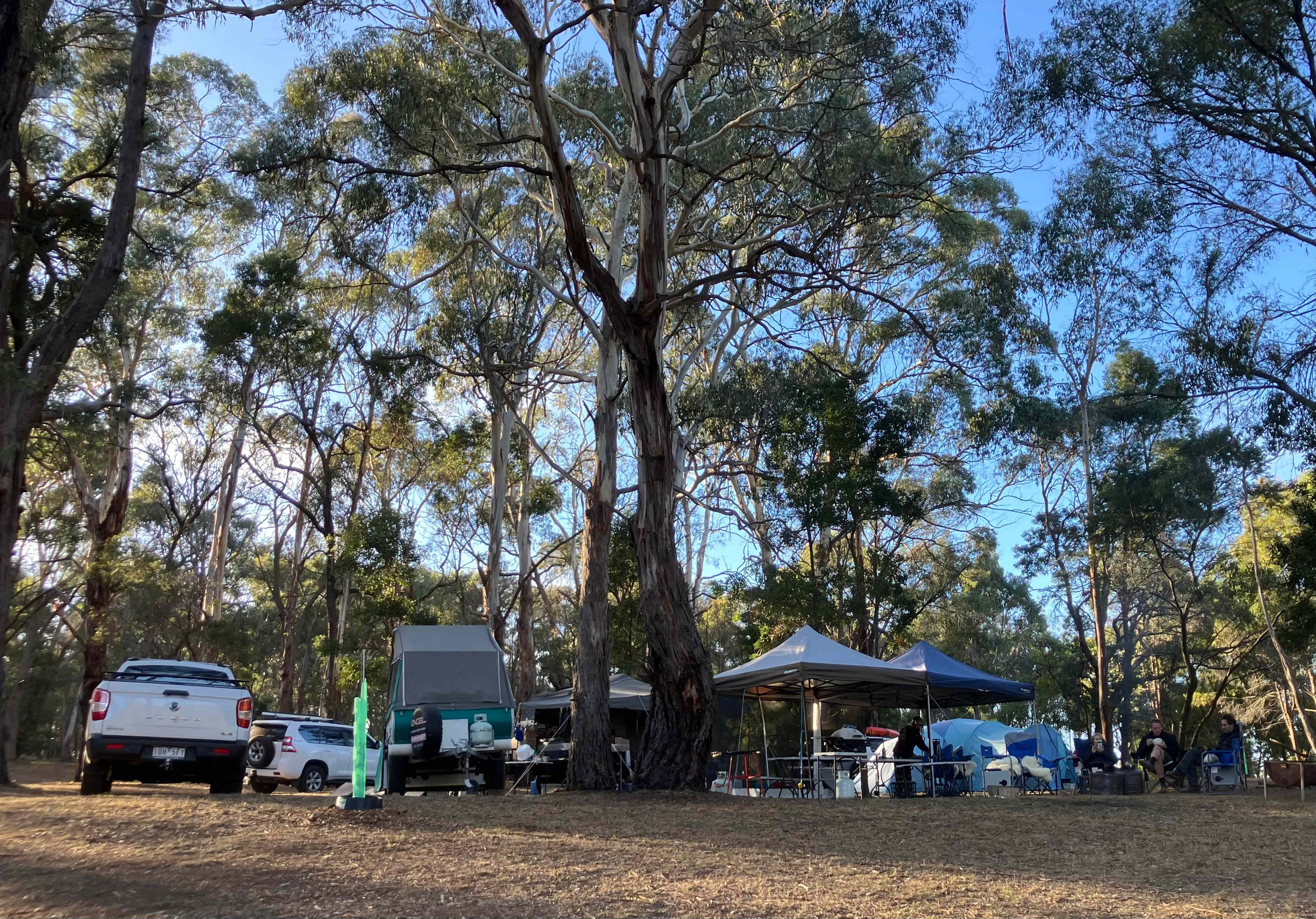Lancefield Lake's A WETLANDS WONDER