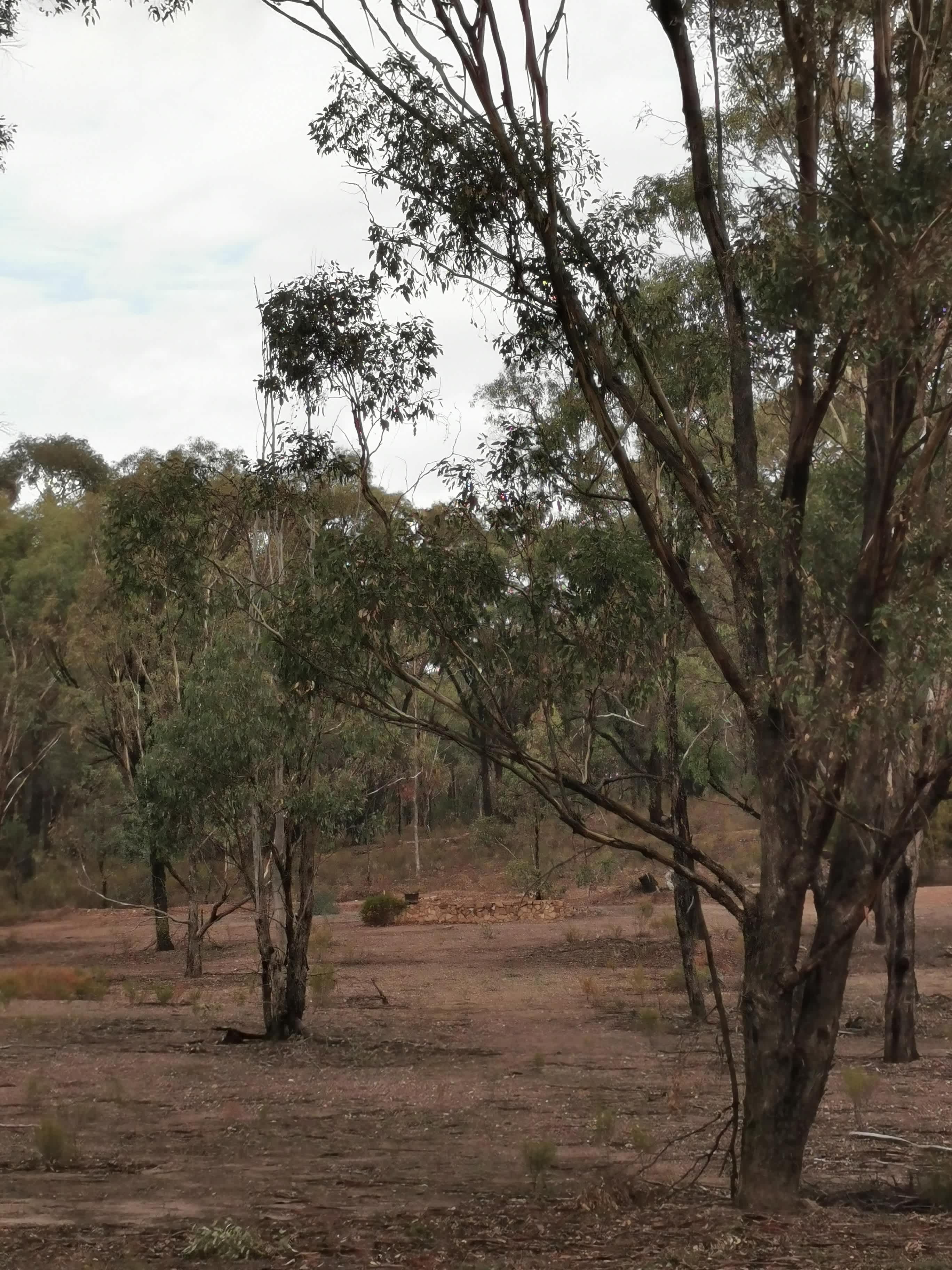 Wattlehill Gold Hunters Getaway