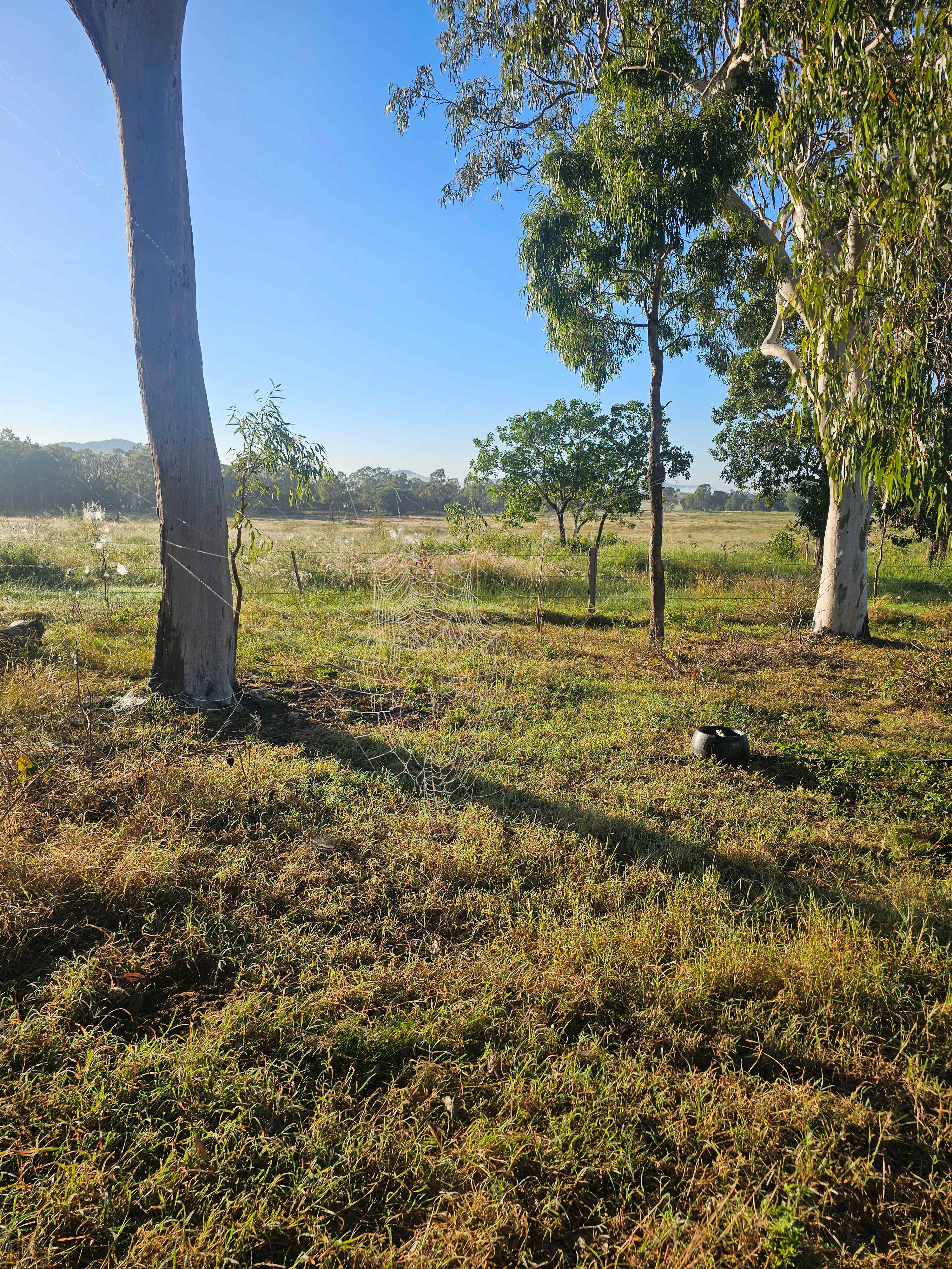 Take-A-Break Bush Camp