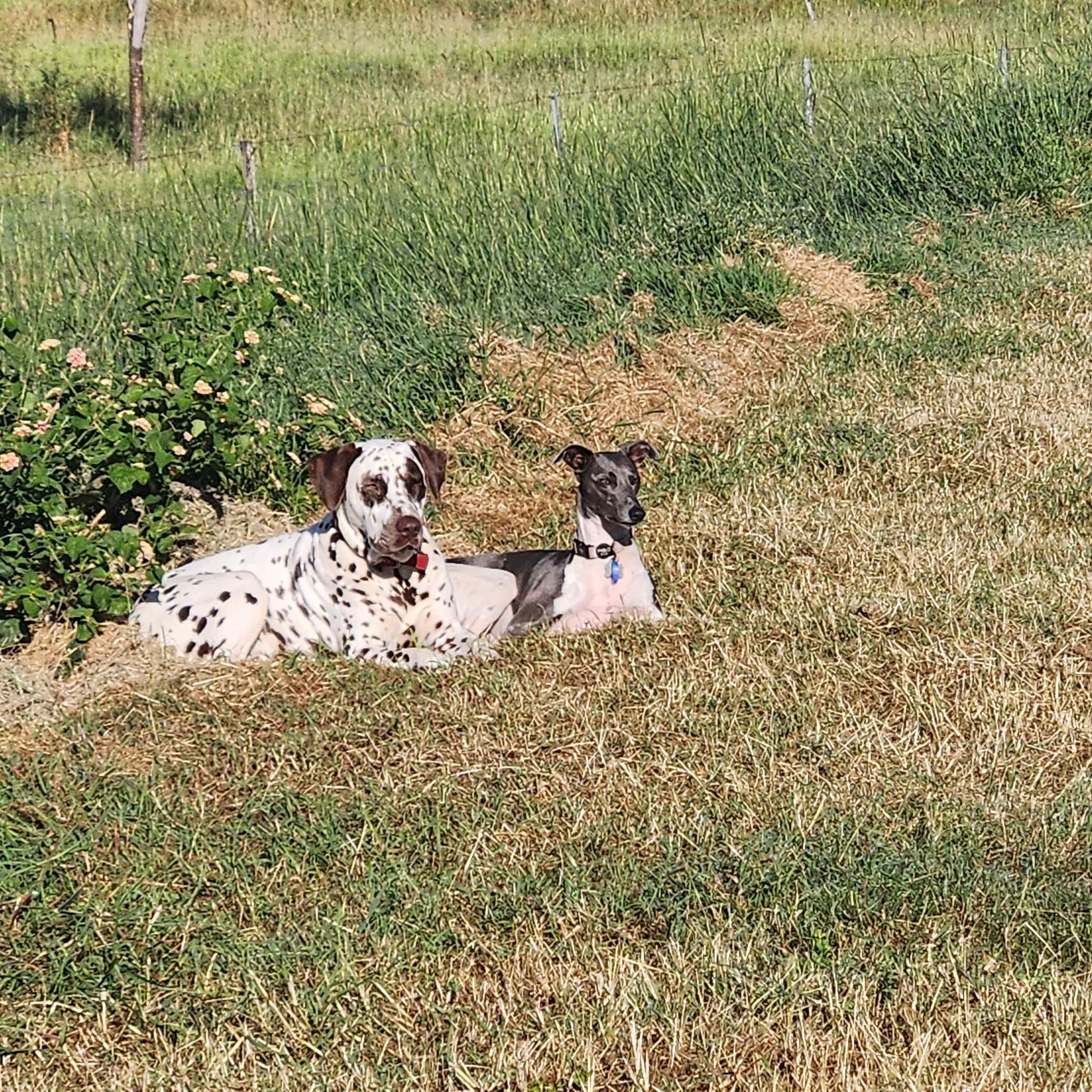 Take-A-Break Bush Camp