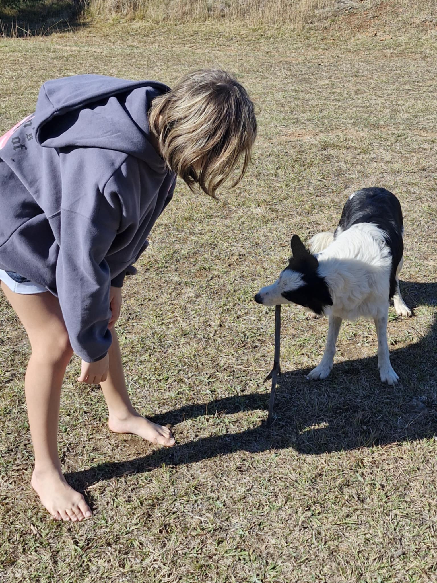 Windawalla