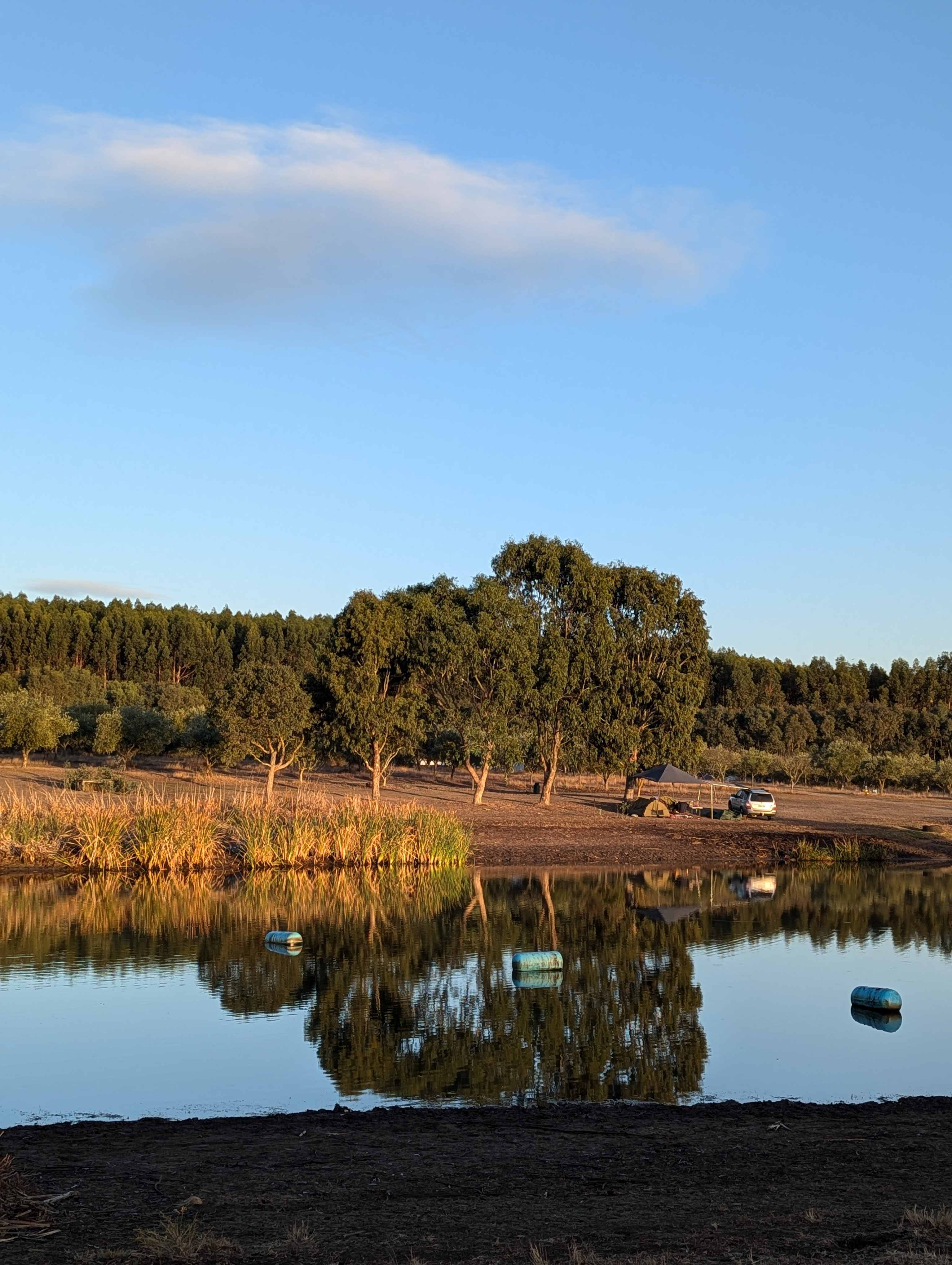 Olive Farm