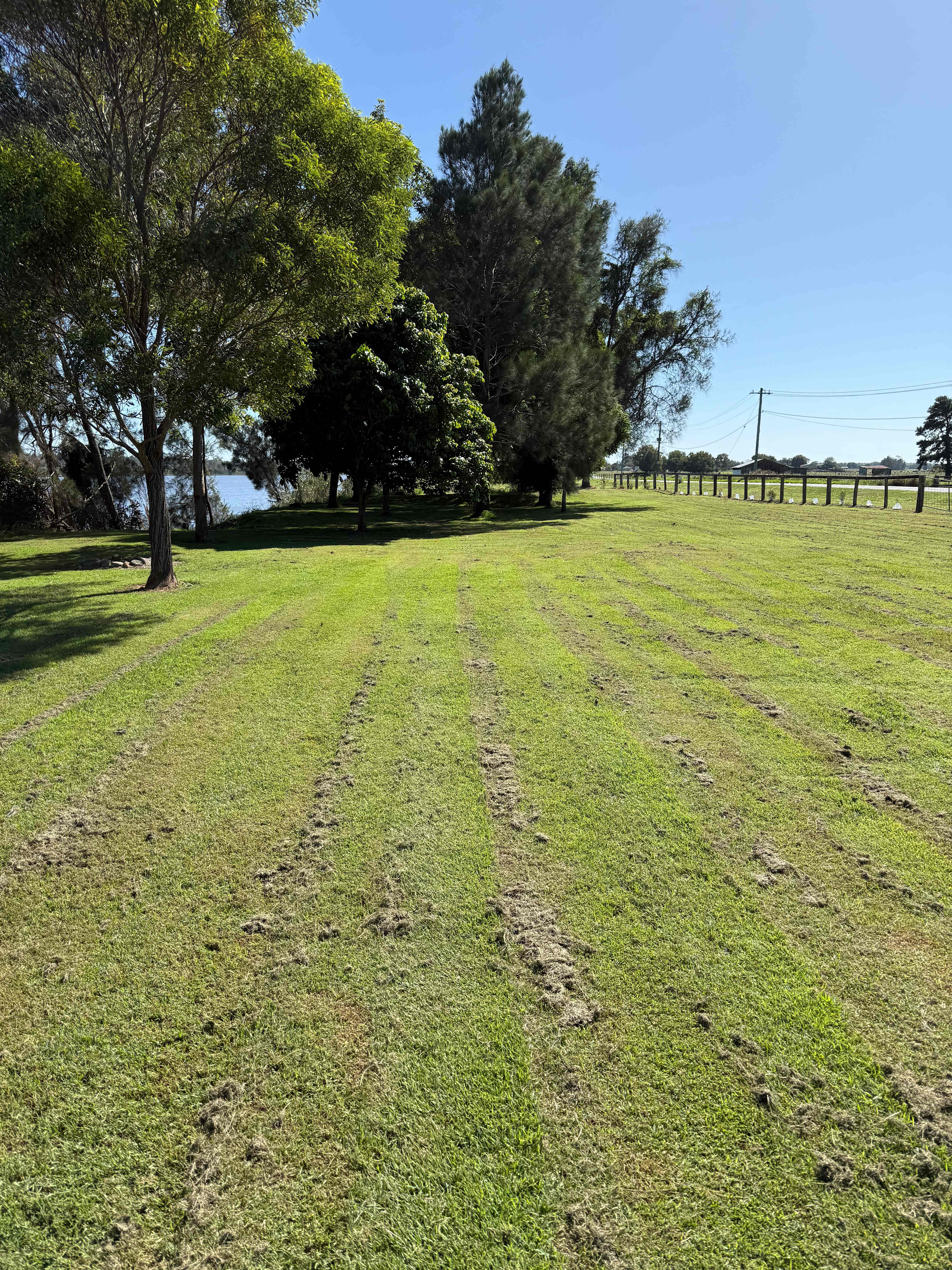 Riverside Camping on the Clarence