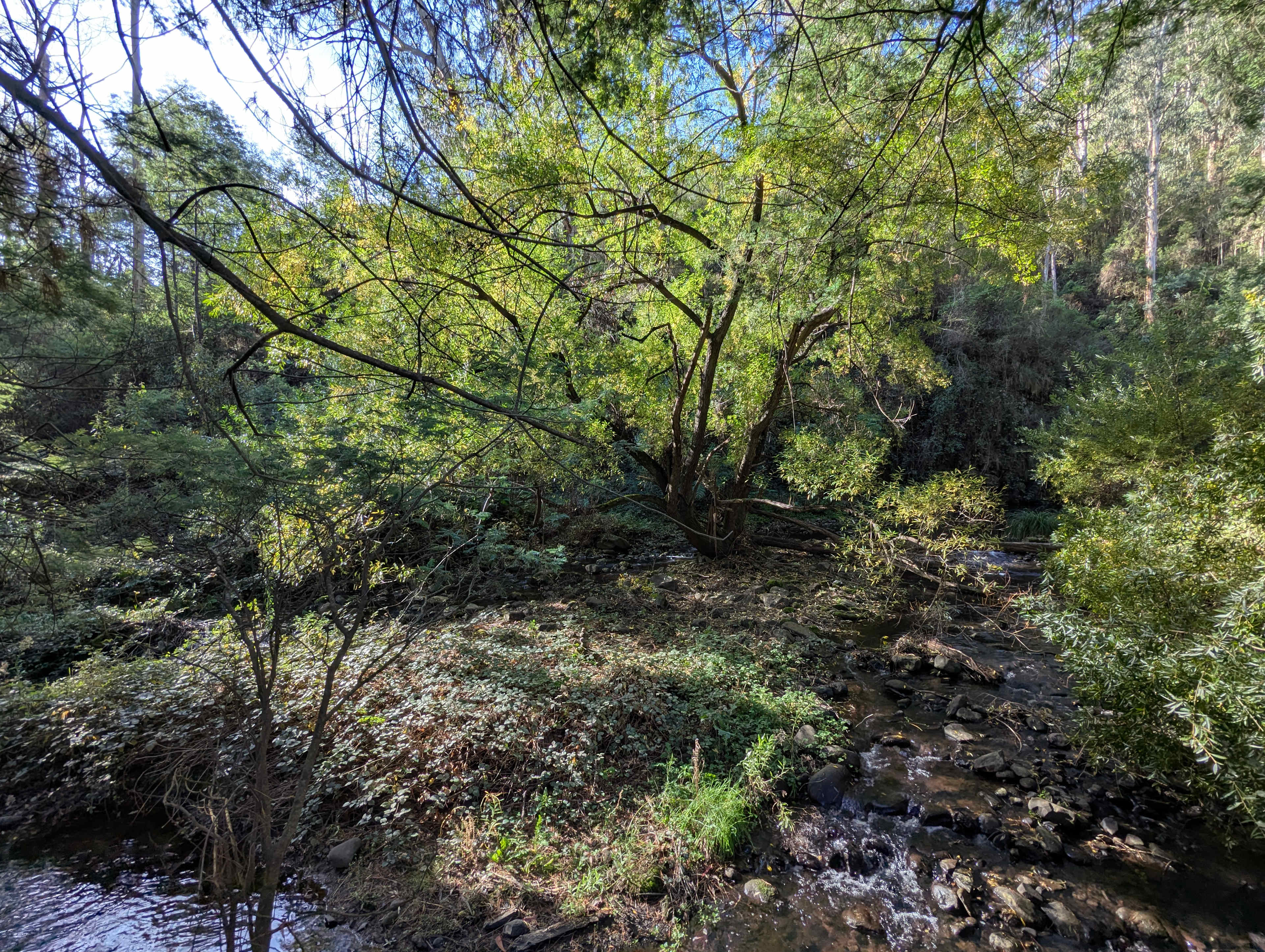 Merrimans Creek Seclusion