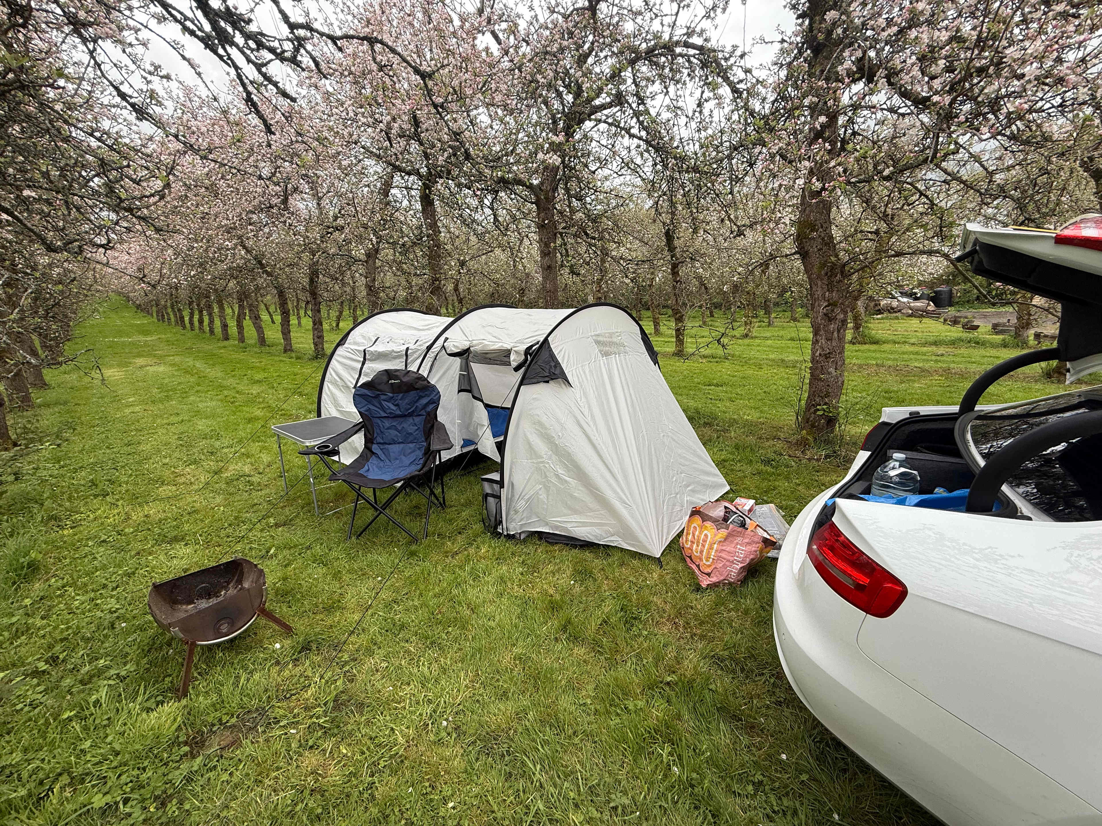 Cider Farm Orchard Campsite