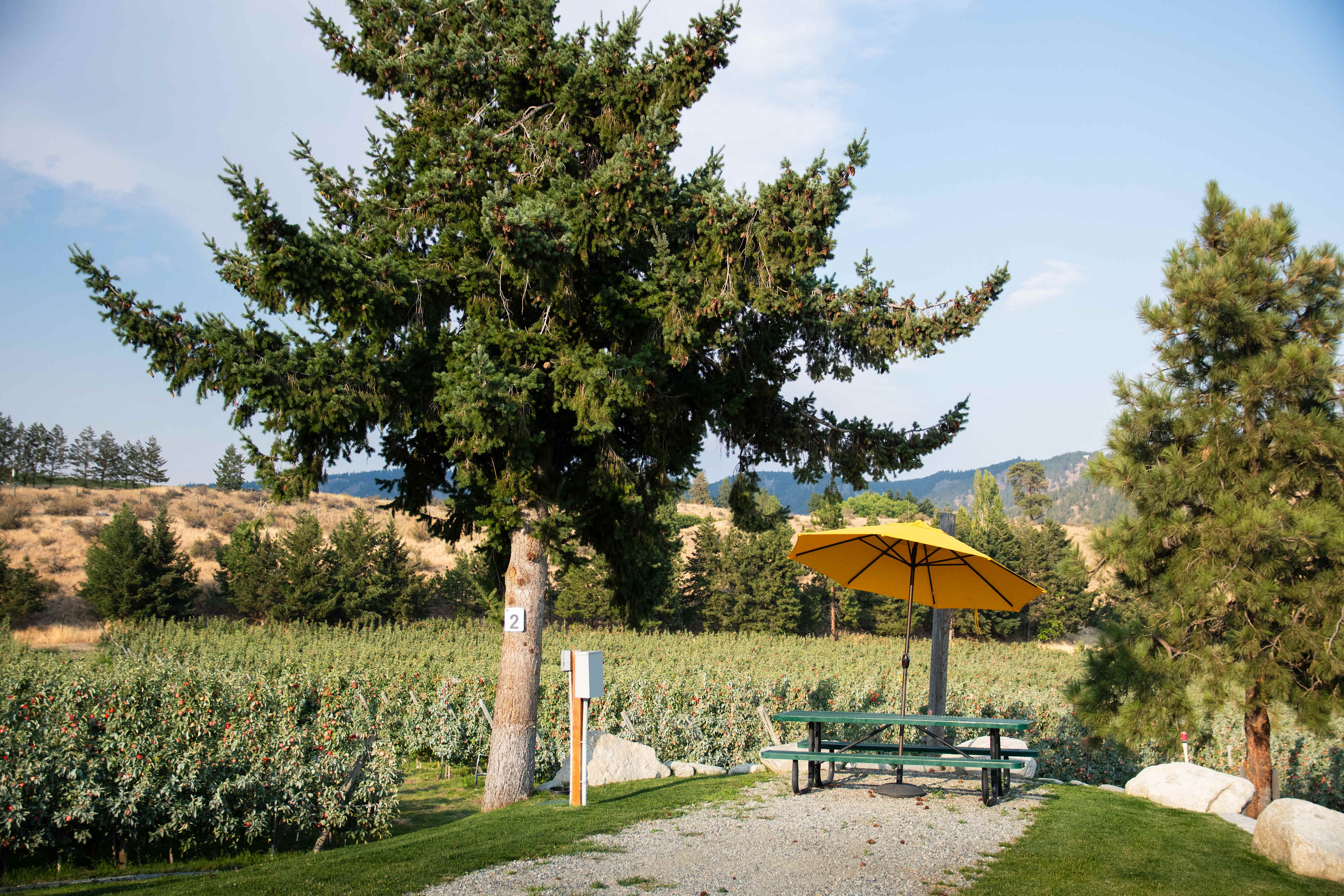 Farm Stays At Chelan Ranch