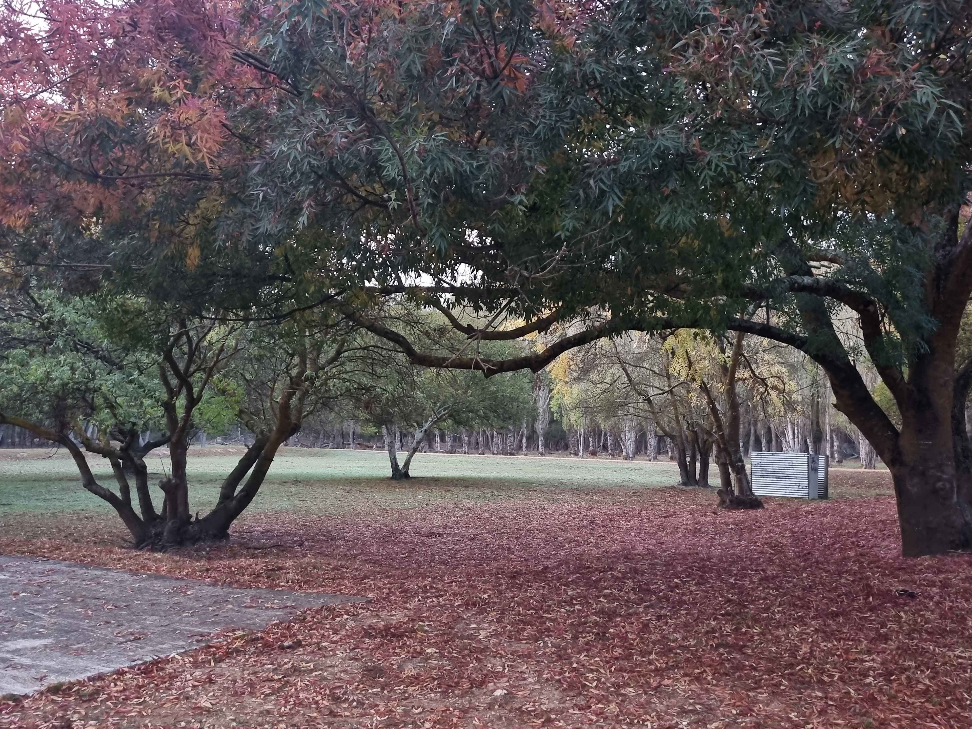 Oakview