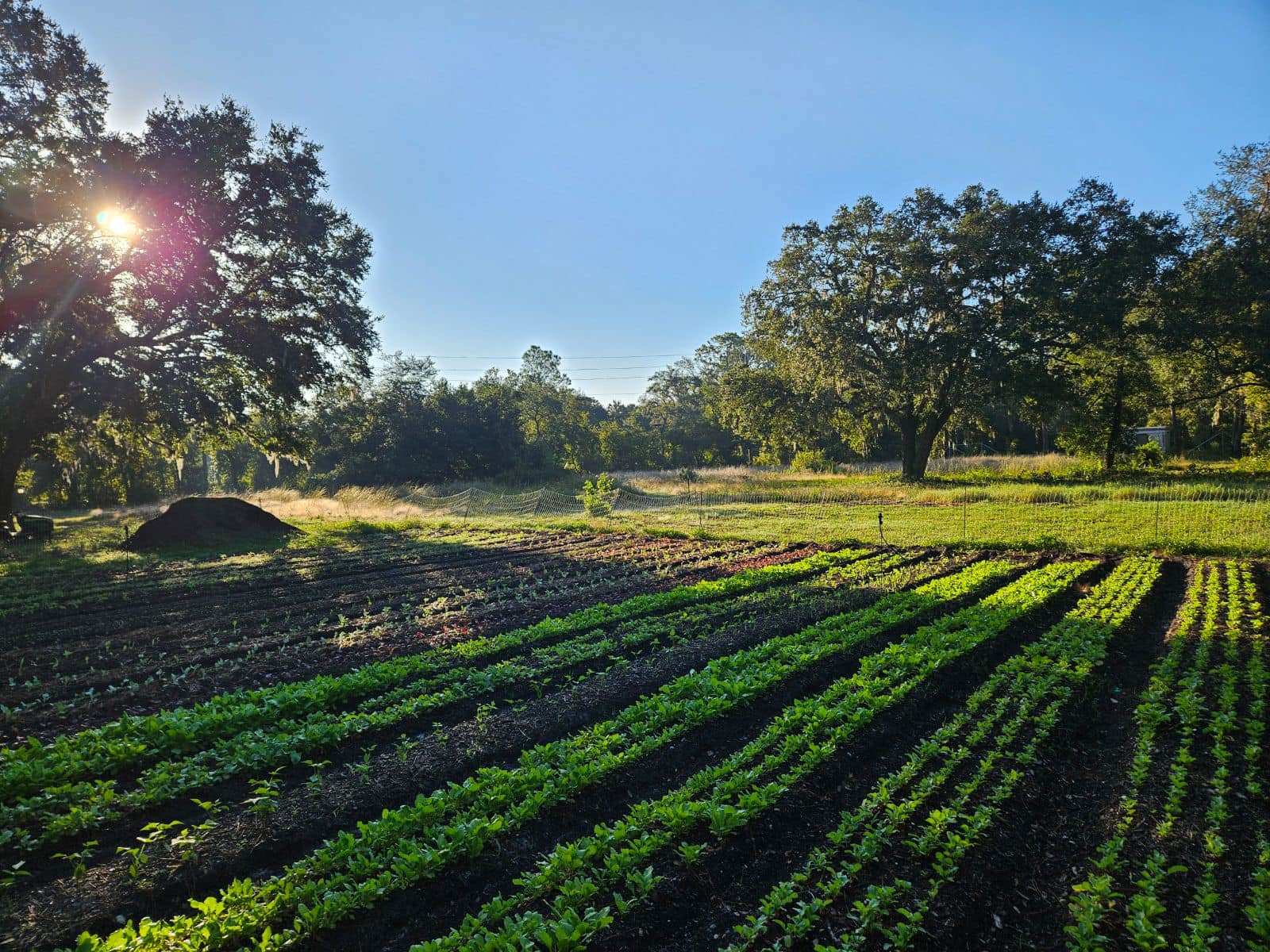 Oceanside Organics Farm