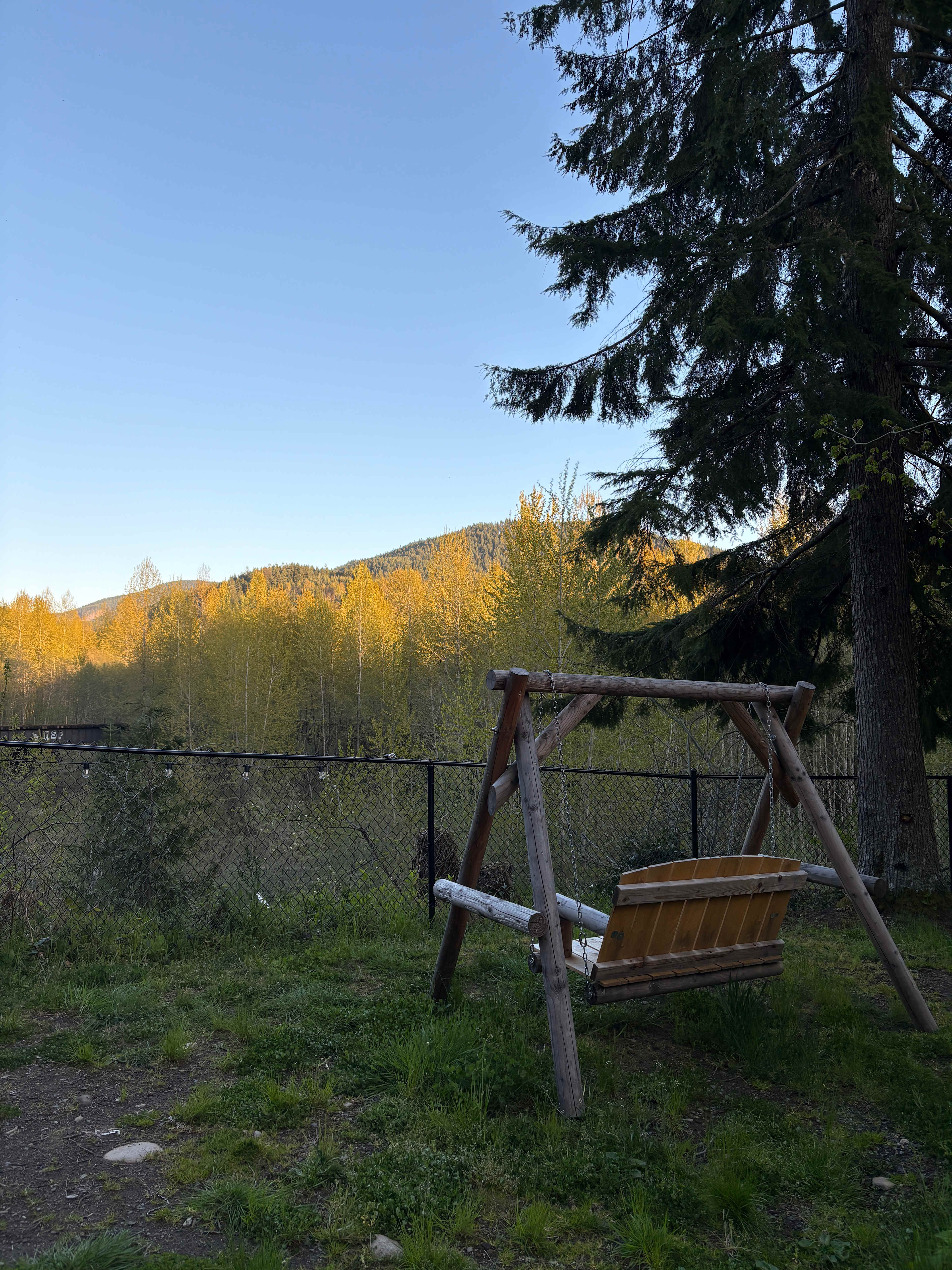 Riverside Camping Near Mt Rainier