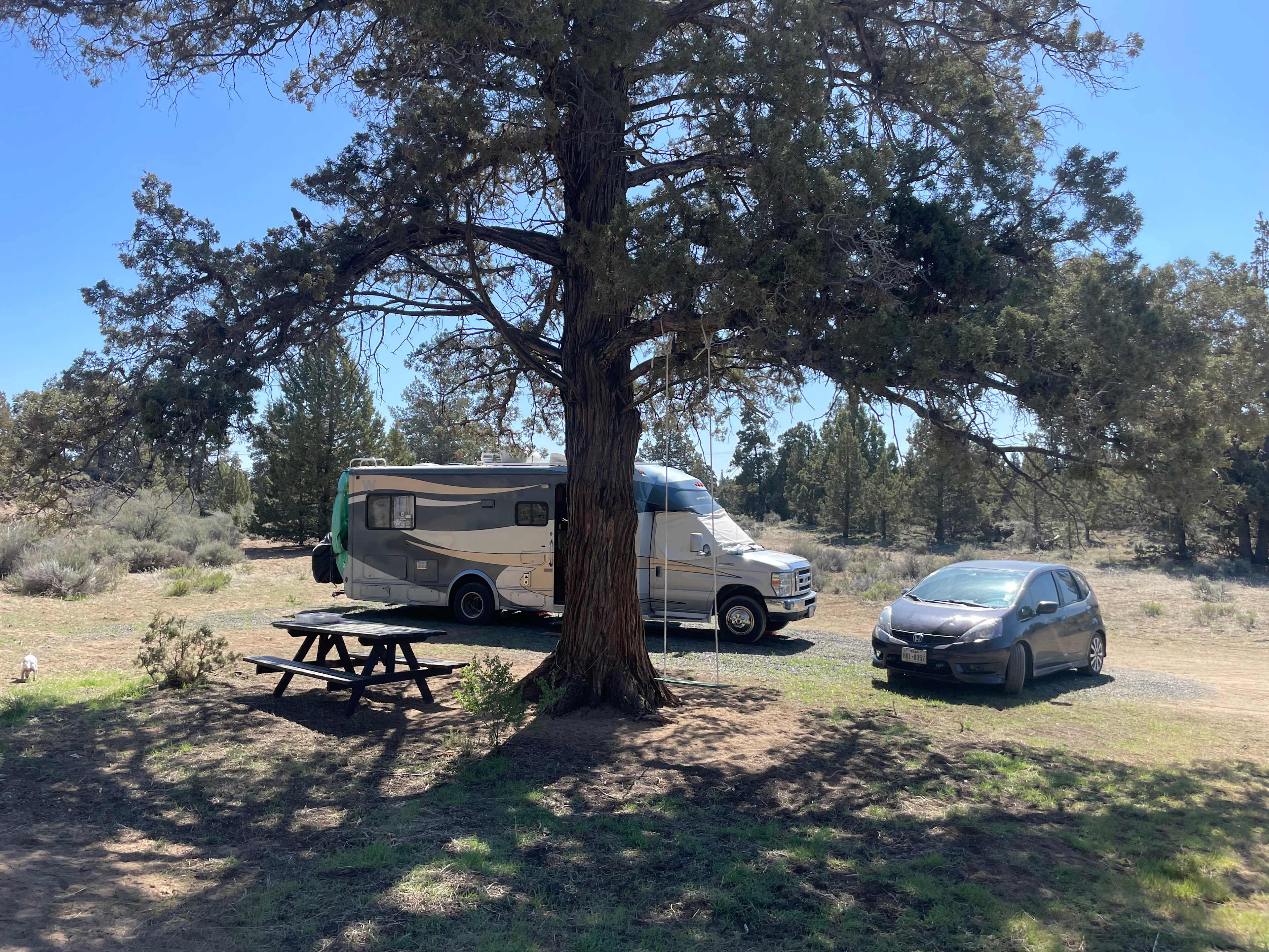 Picknik Place