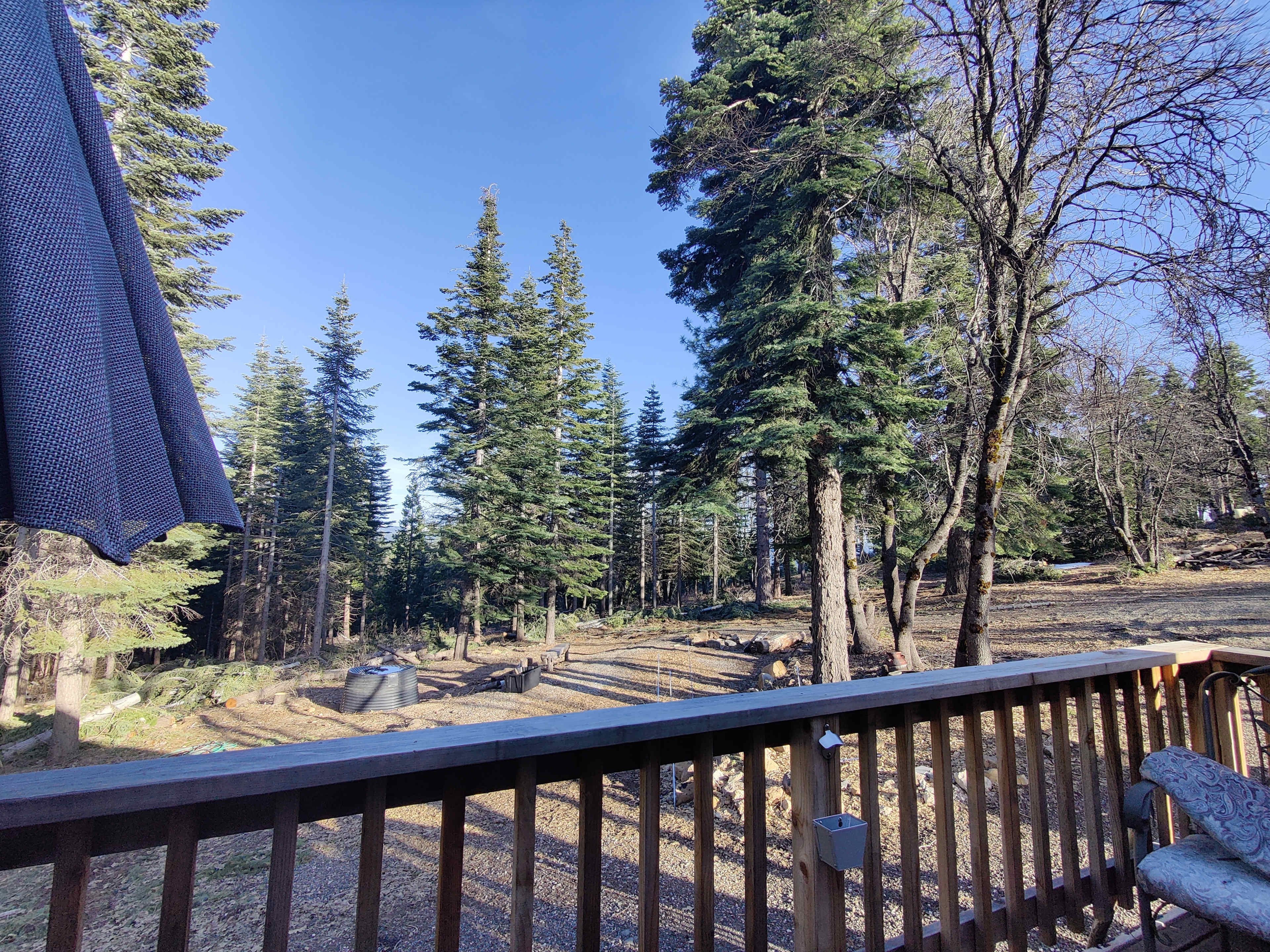 Lazy Bear Cabin