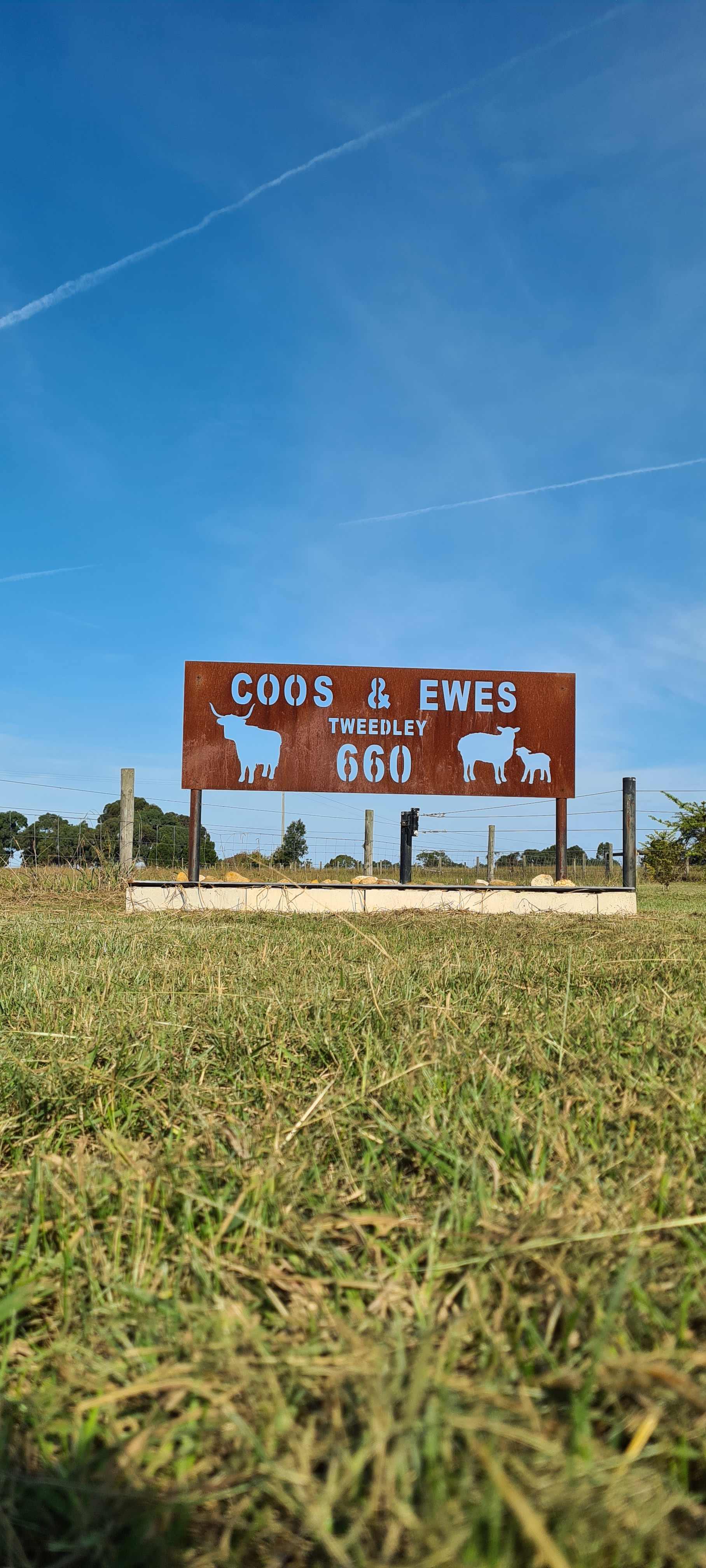 Coos & Ewes
