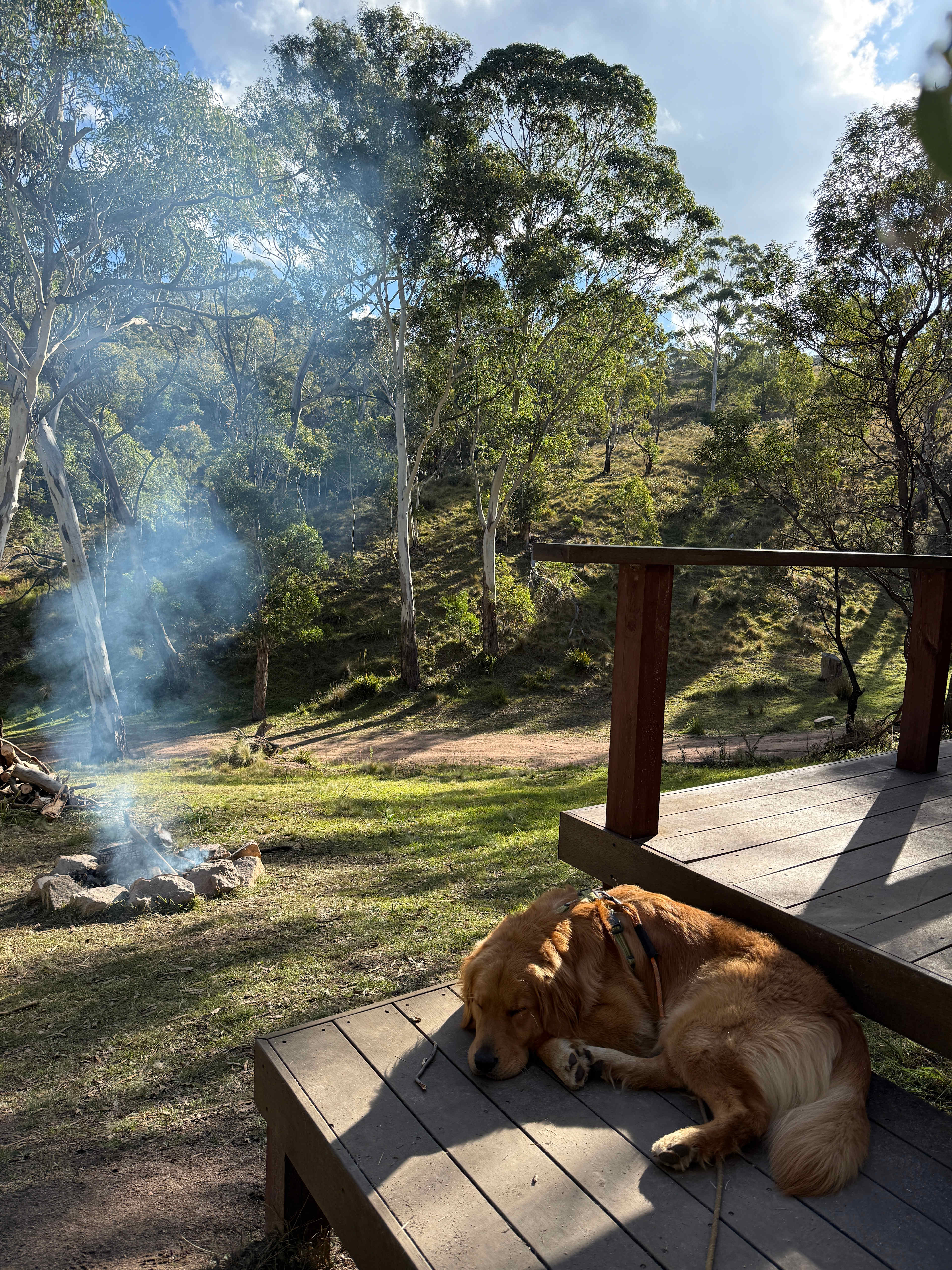 Aurora-Exclusive Blue Mountains