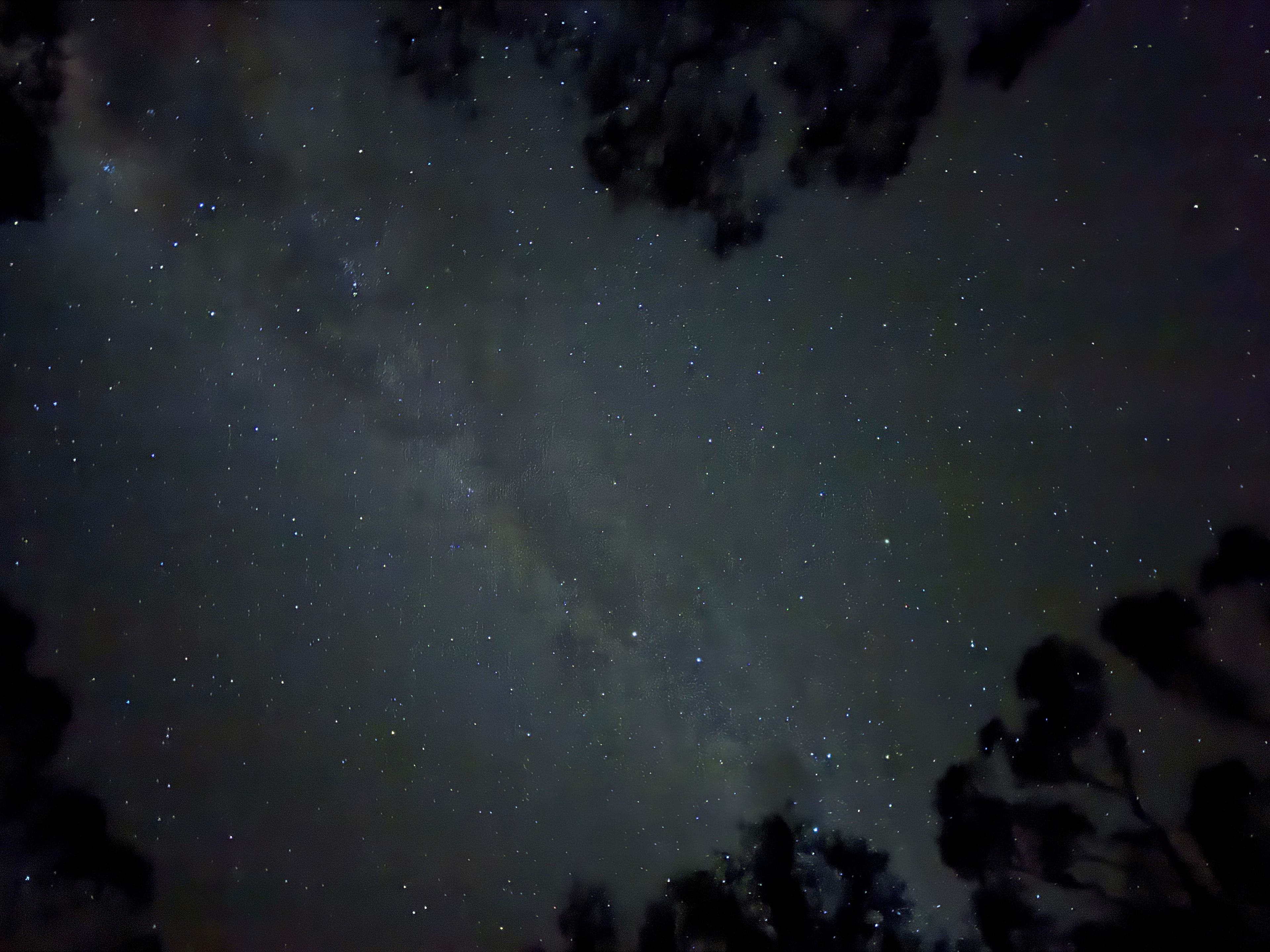 The Scrub Campsite - Inman Valley