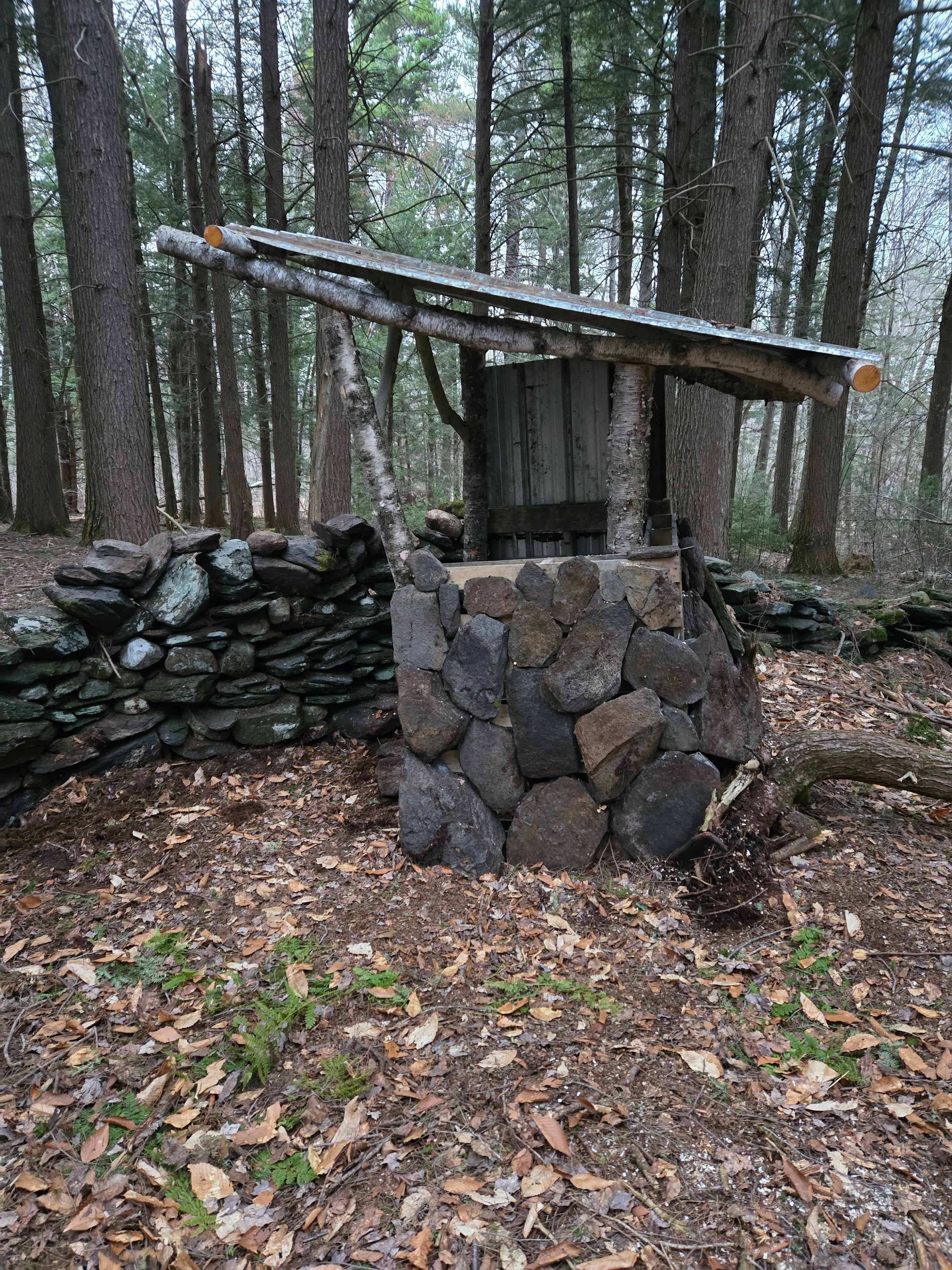 Thornback Wood